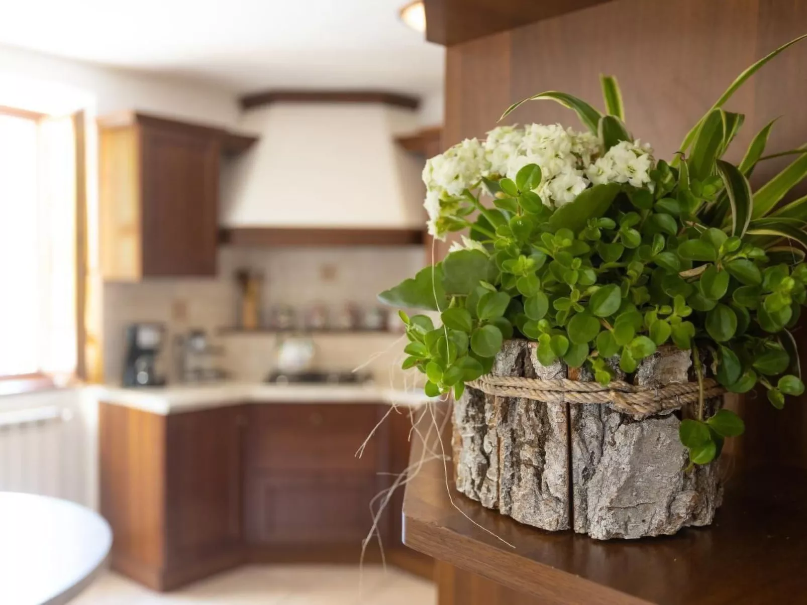 "Casa Rita AP. 1 - Gardasee".-Image-tags.info