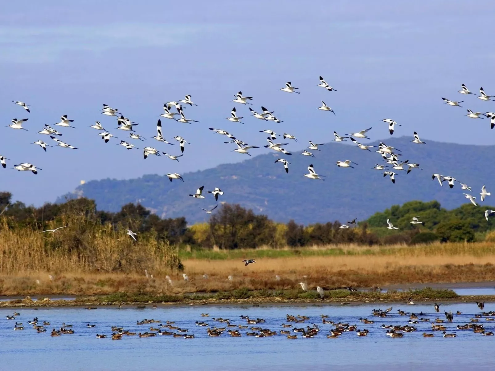 Anwesen mit Schwimmbad-Image-tags.info