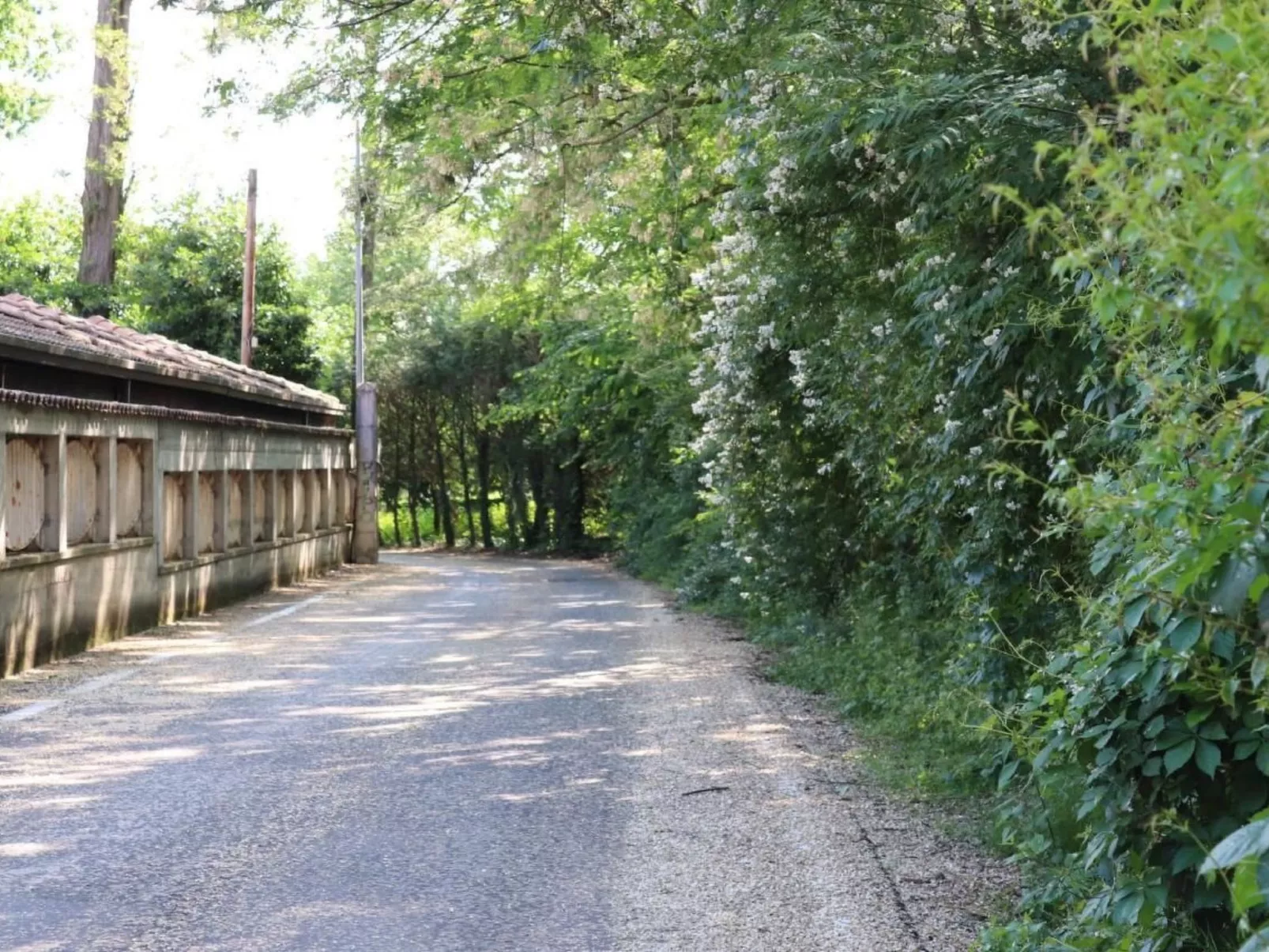 La Terrazza' Wohnung mit Seeblick-Buiten