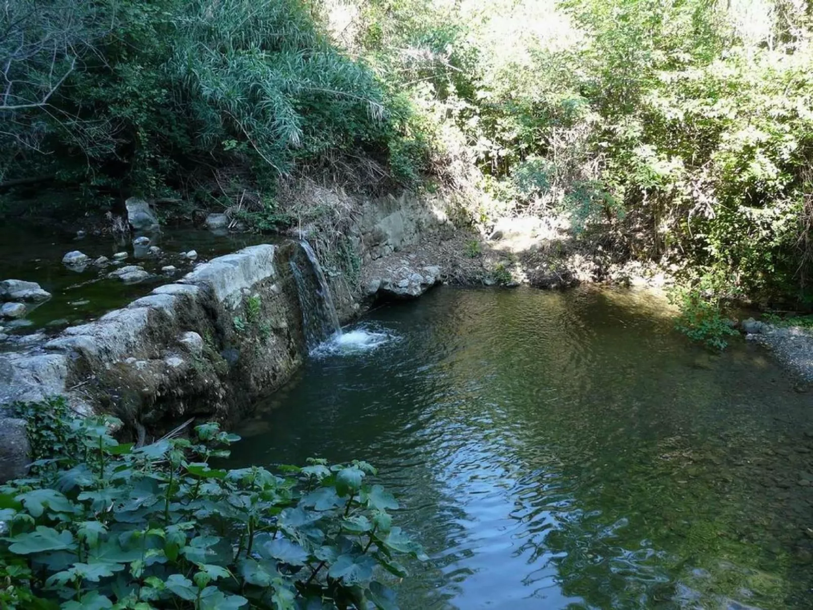 Molino-Studio-Image-tags.info