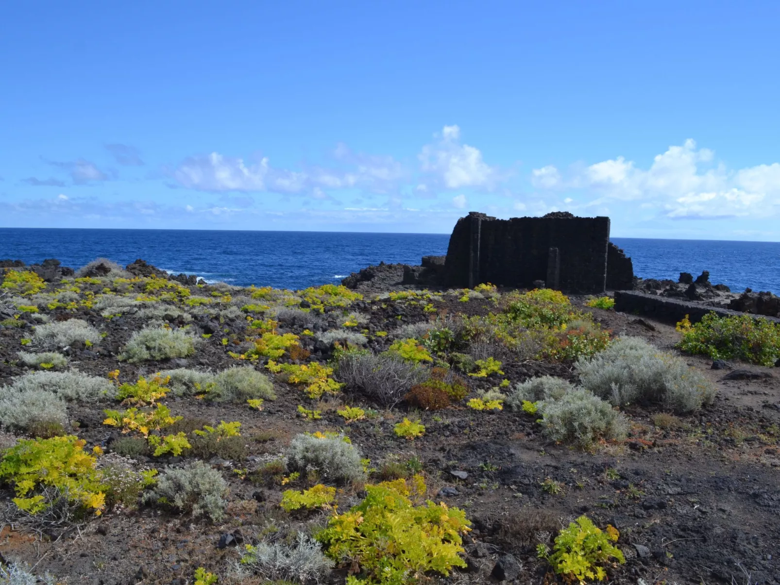 Strand und Entspannung Wohnung-Buiten