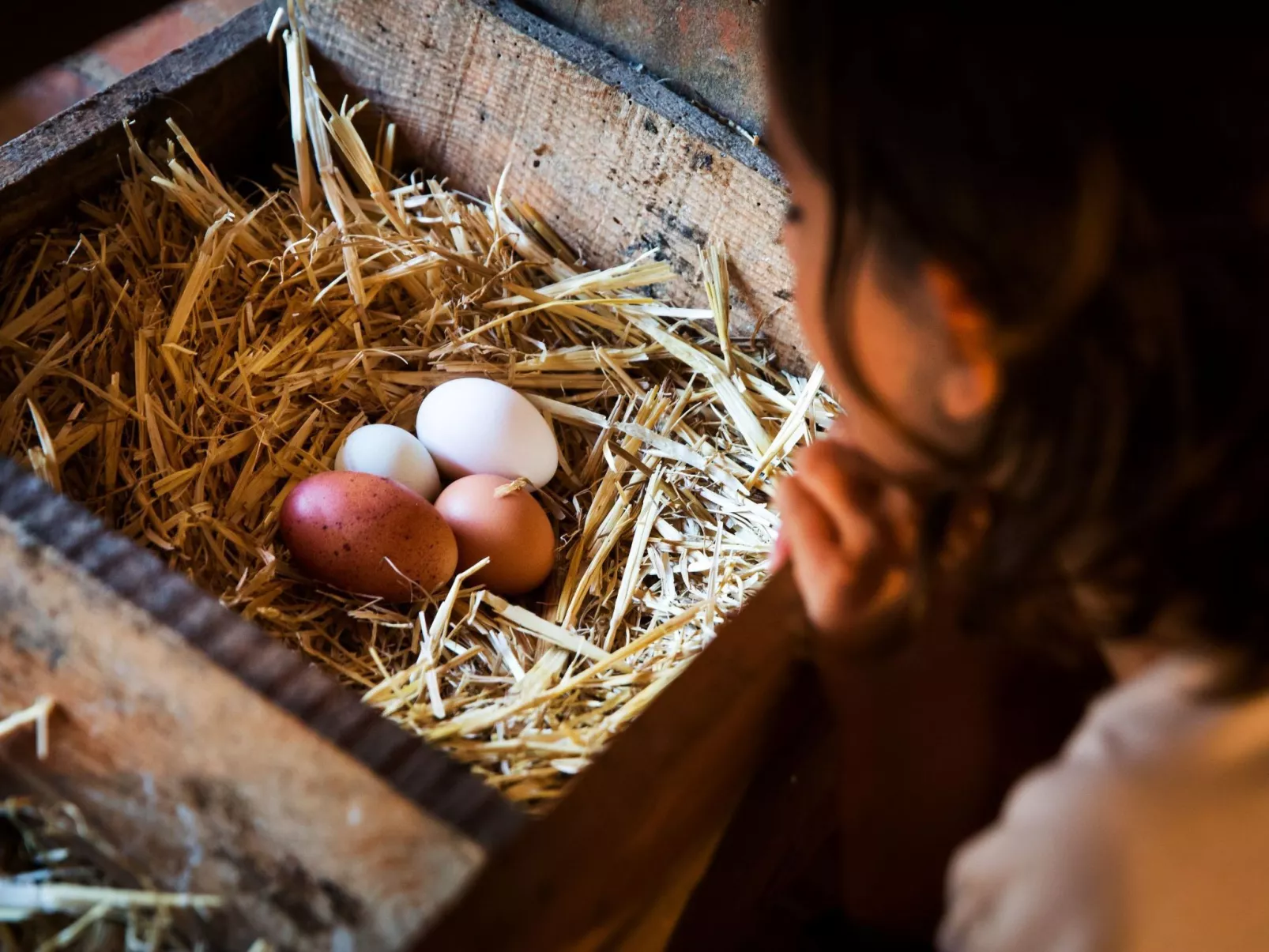 Wohnung "El Corral" mit Terrasse-Image-tags.info