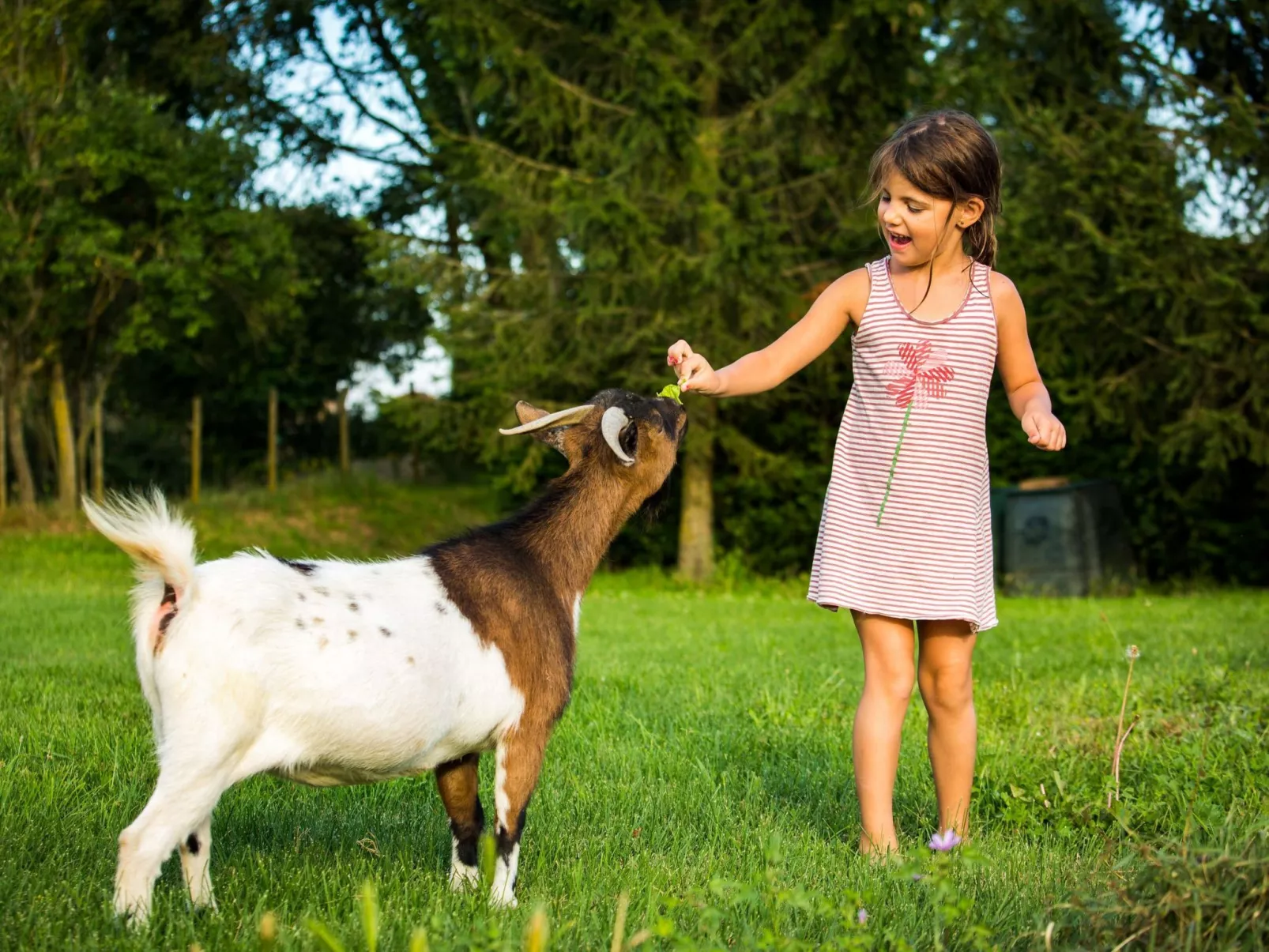 "Cobert del Carro".-Buiten