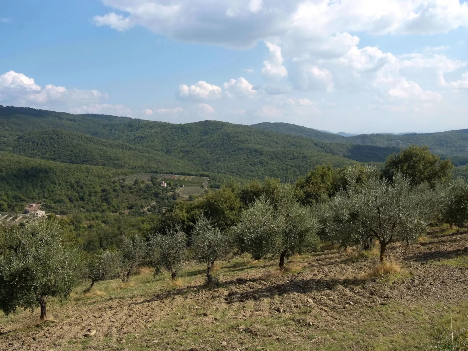 Wohnung in Figline Valdarno mit Gemeinschaftspool-Image-tags.info