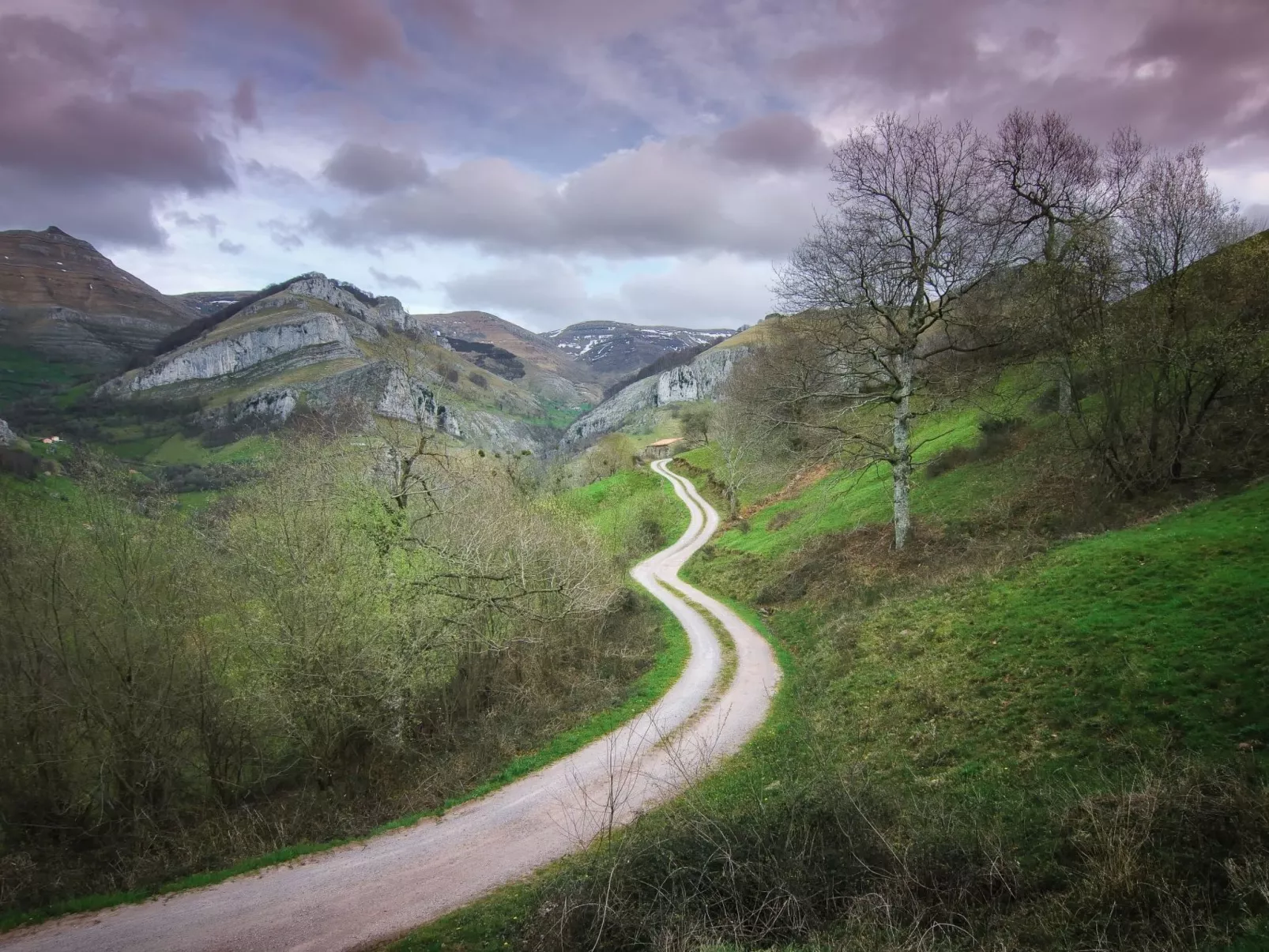 Fachwerkhaus mit Garten-Image-tags.info