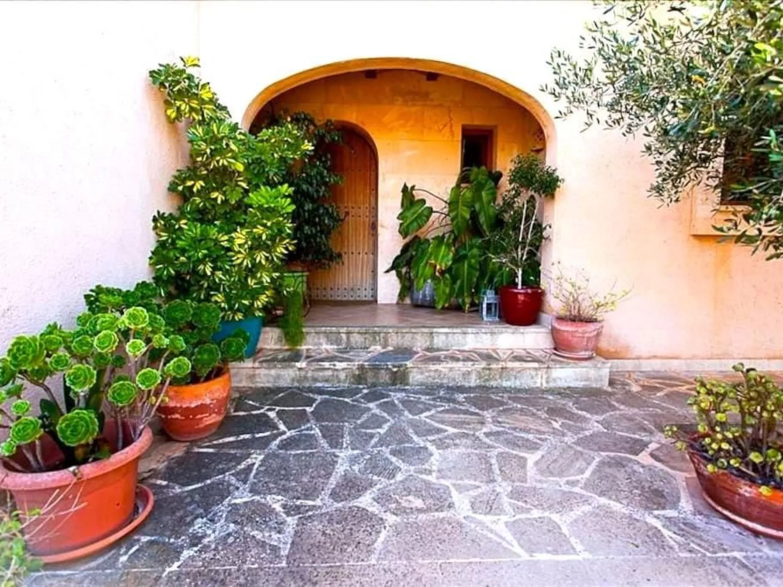 Finca Verde Campos - Image-tags.info