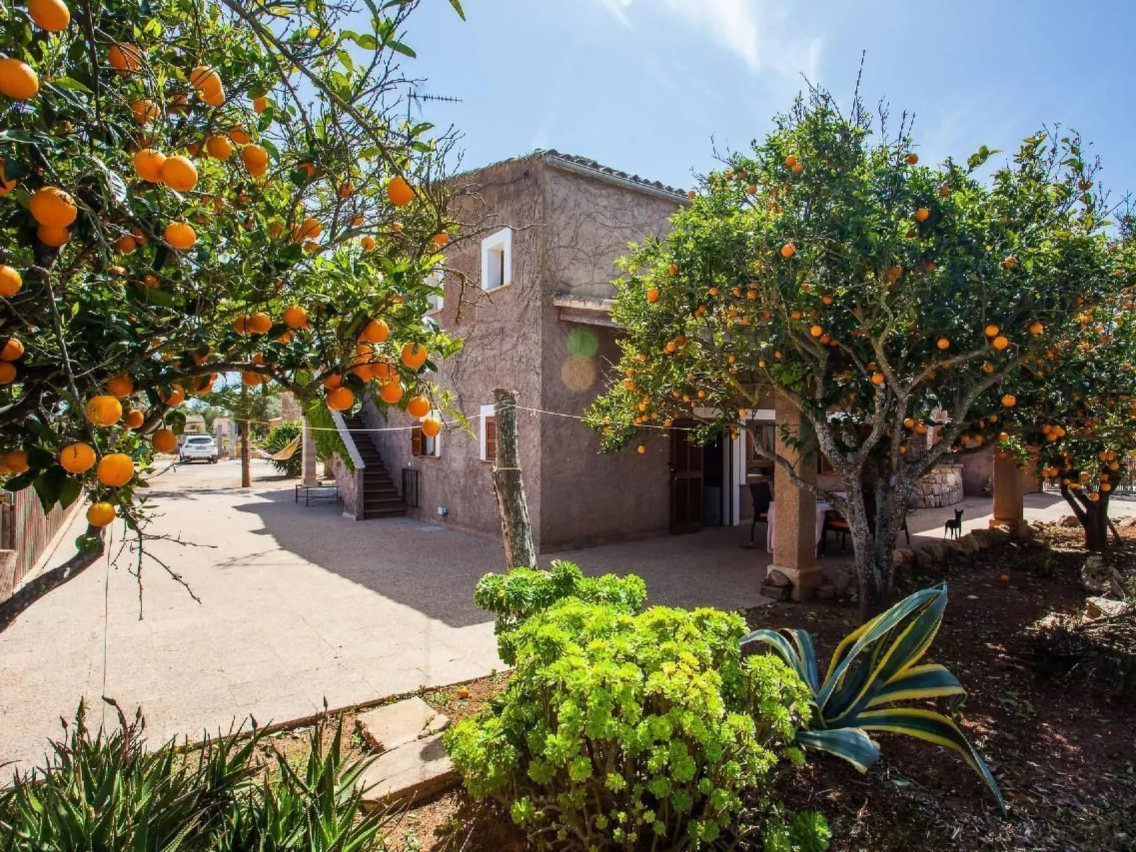 Finca Torro Perdido-Image-tags.info