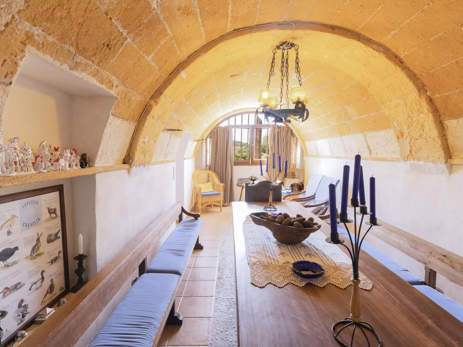 "Murtera-Image-tags.info