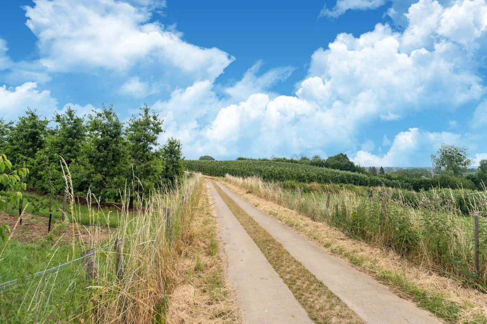 Huis Dries-Gebieden zomer 5km