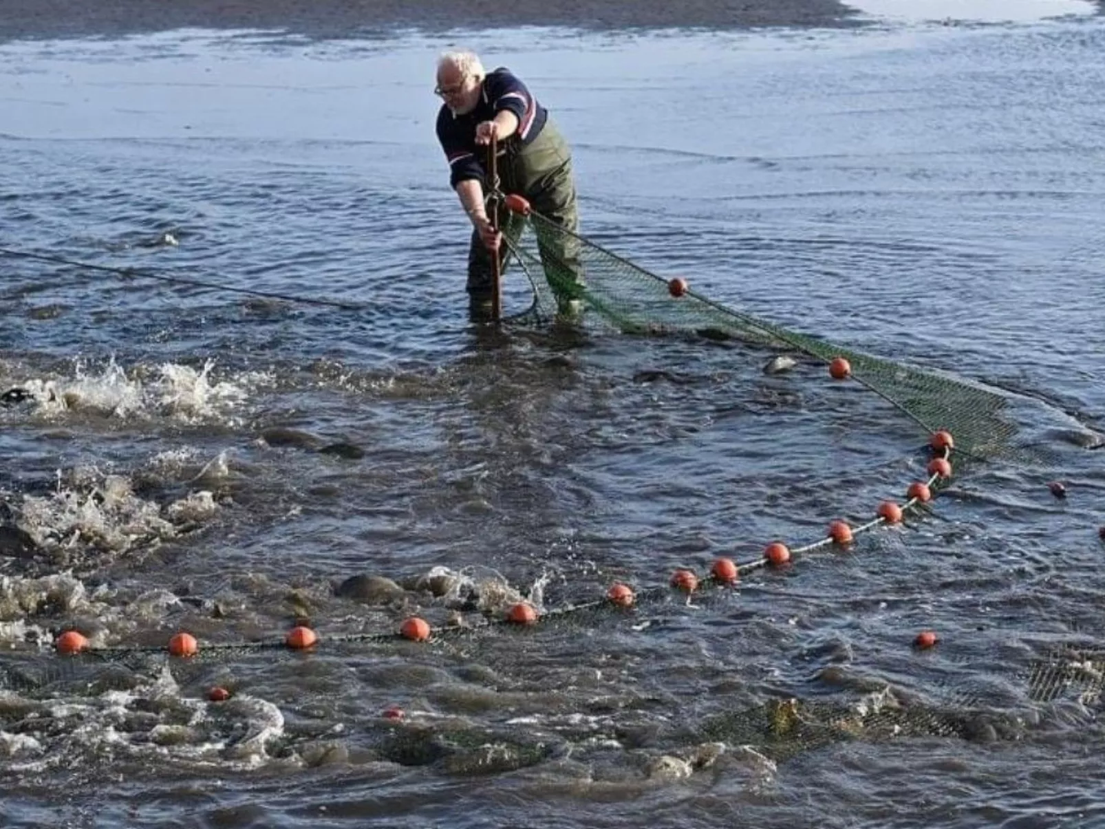 In Linum mit Garten, Terrasse und Grill-Image-tags.info