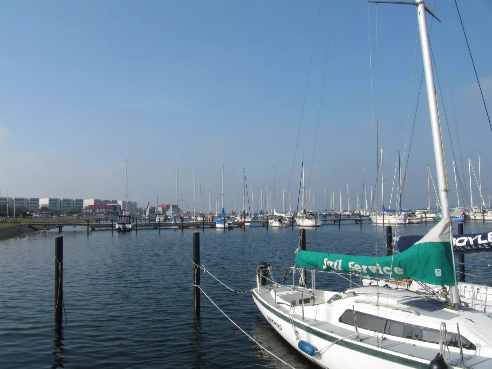 "Sunny"-Image-tags.info