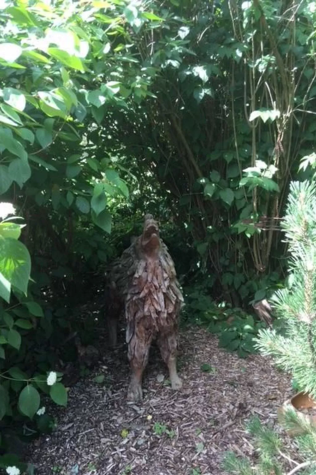 Modernisierte Ferienwohnung mit Balkon-Buiten