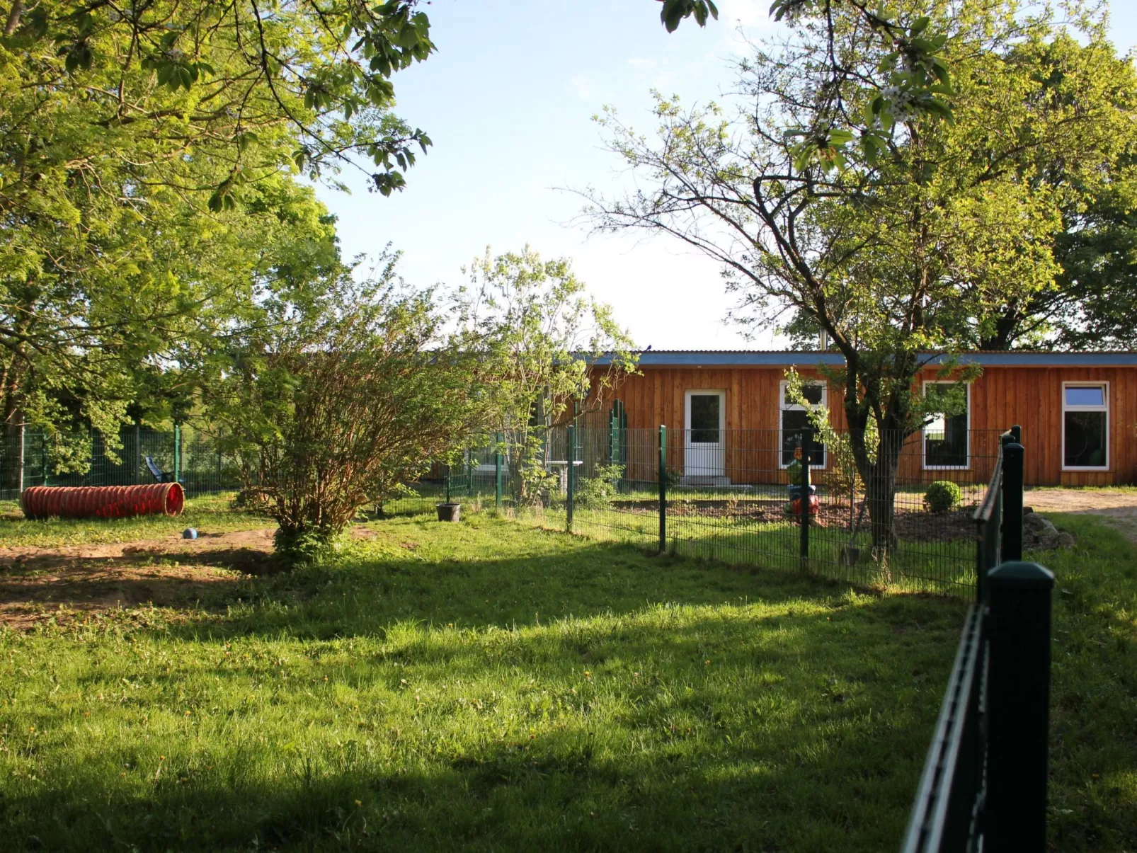 Waldrand in Ascheffel-Buiten