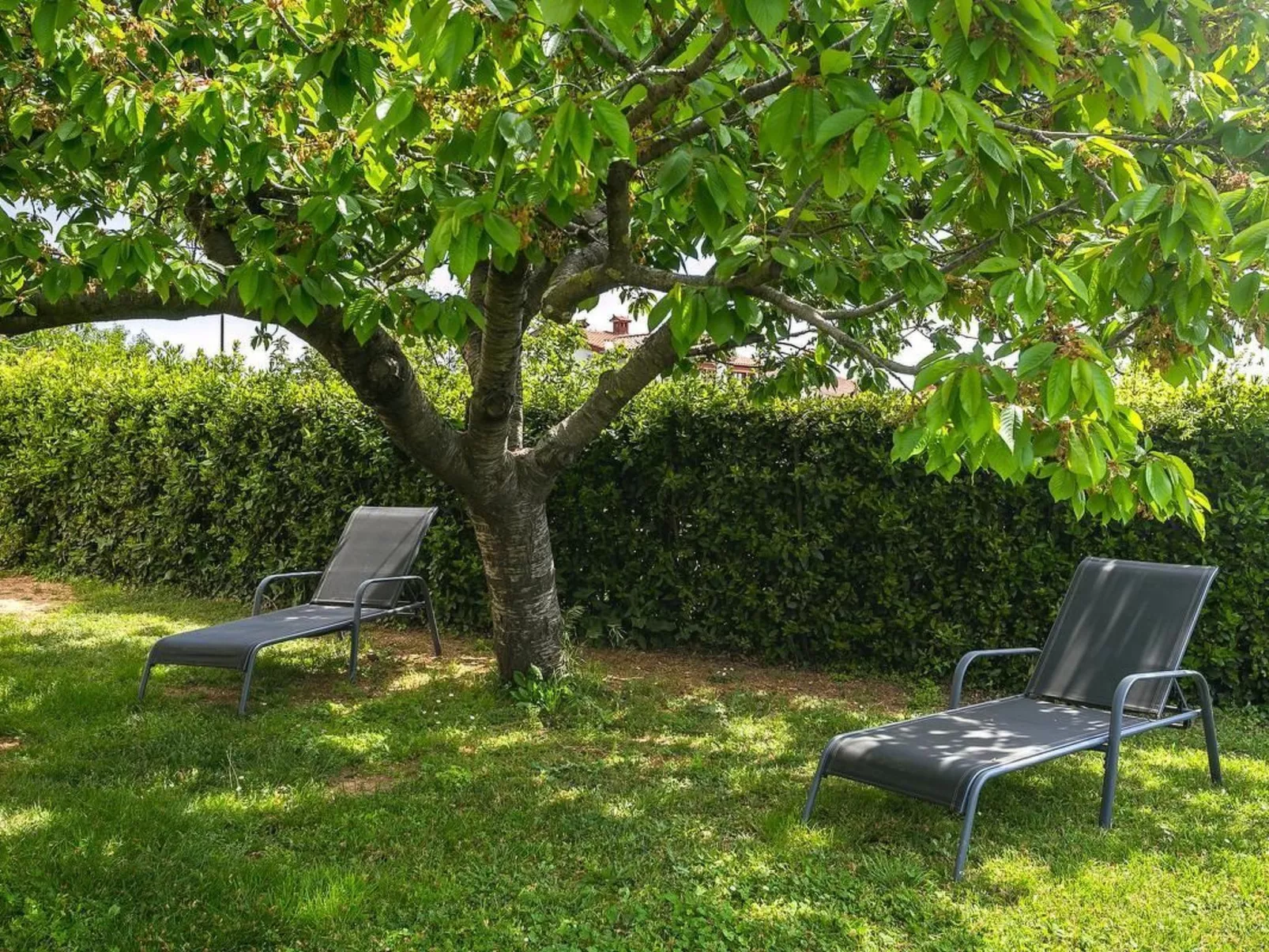 "Elvira" mit Terrasse-Buiten