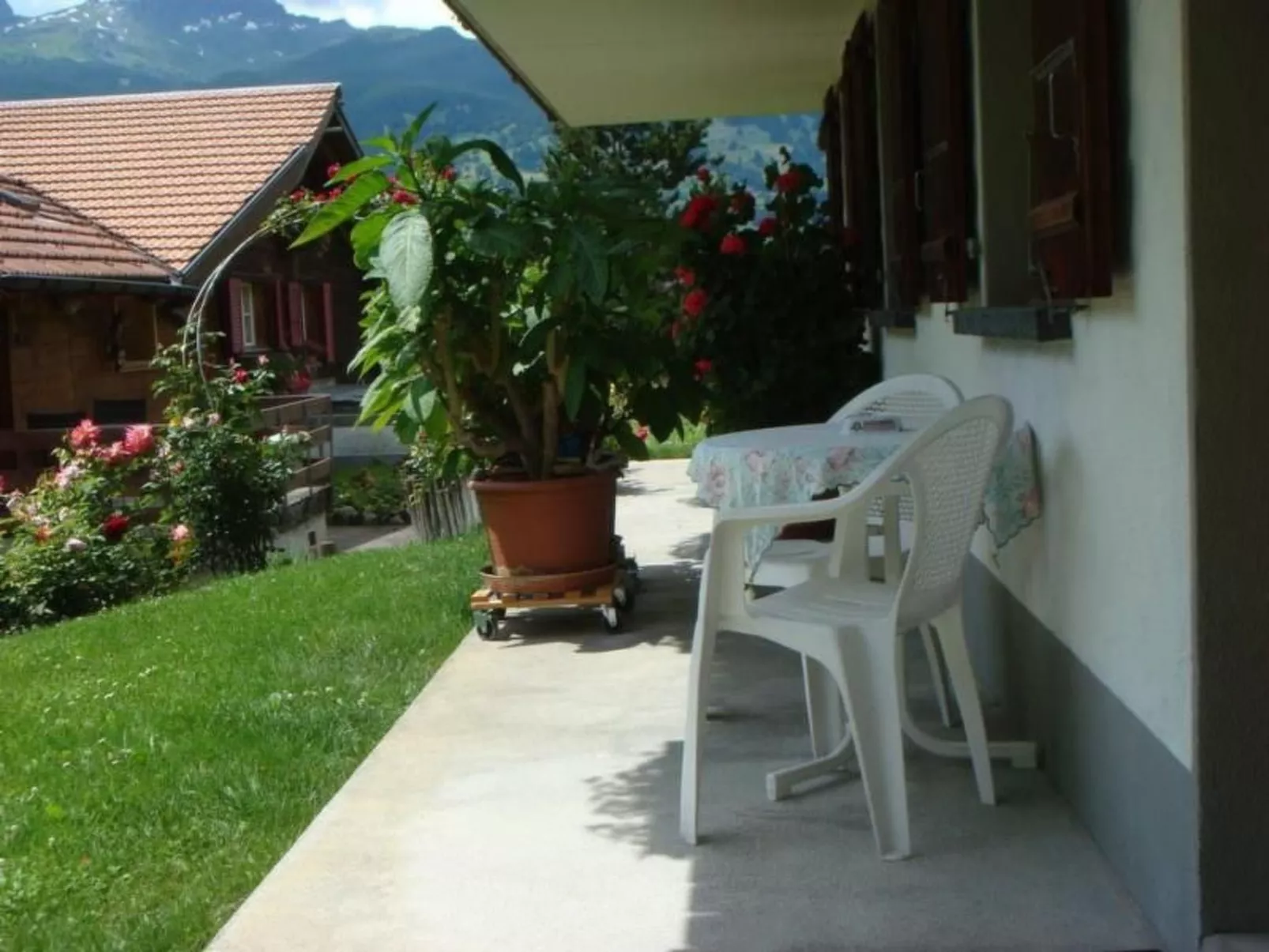 Chessibach Studio-Buiten