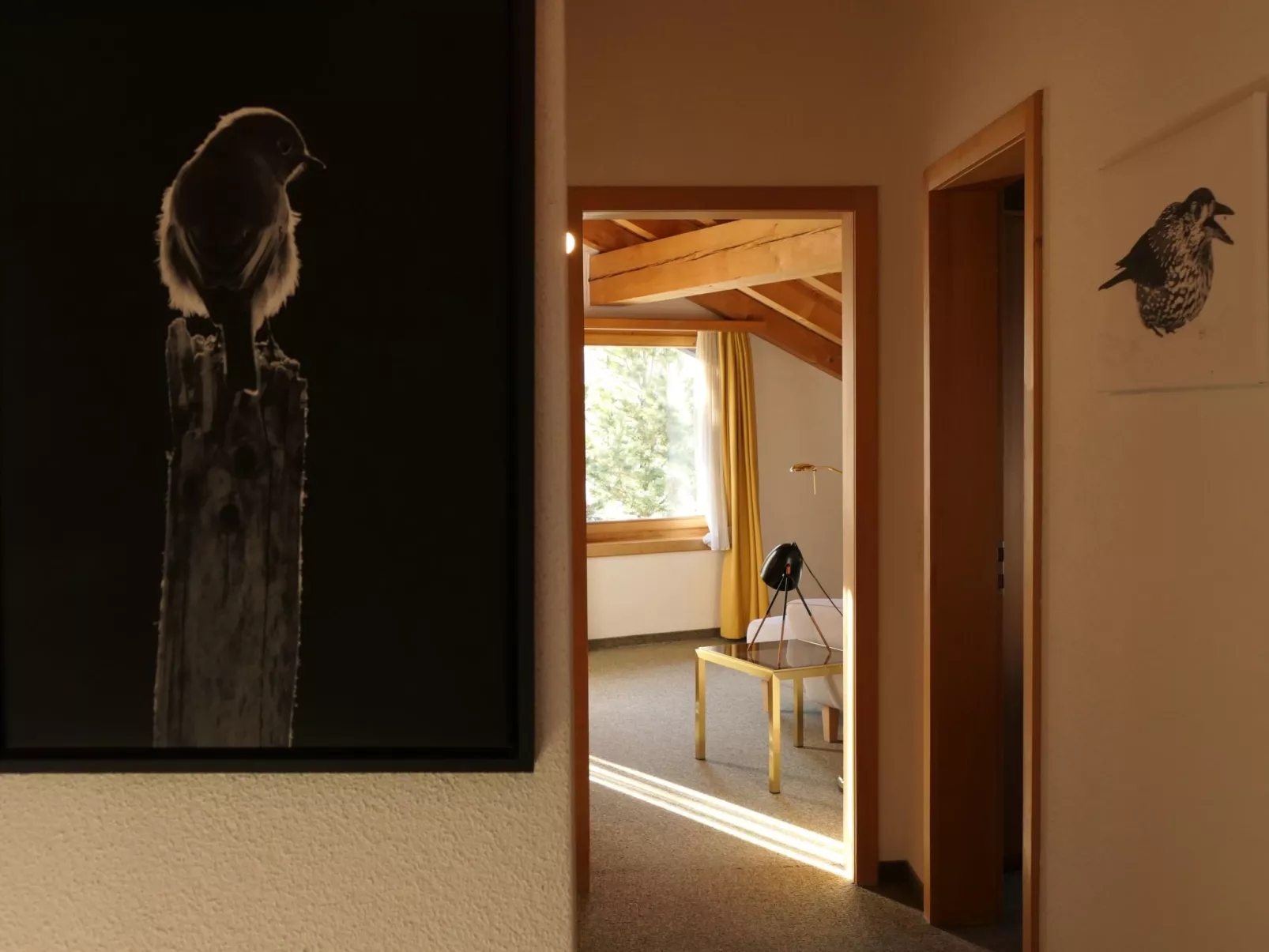 La Stüerta-Image-tags.info