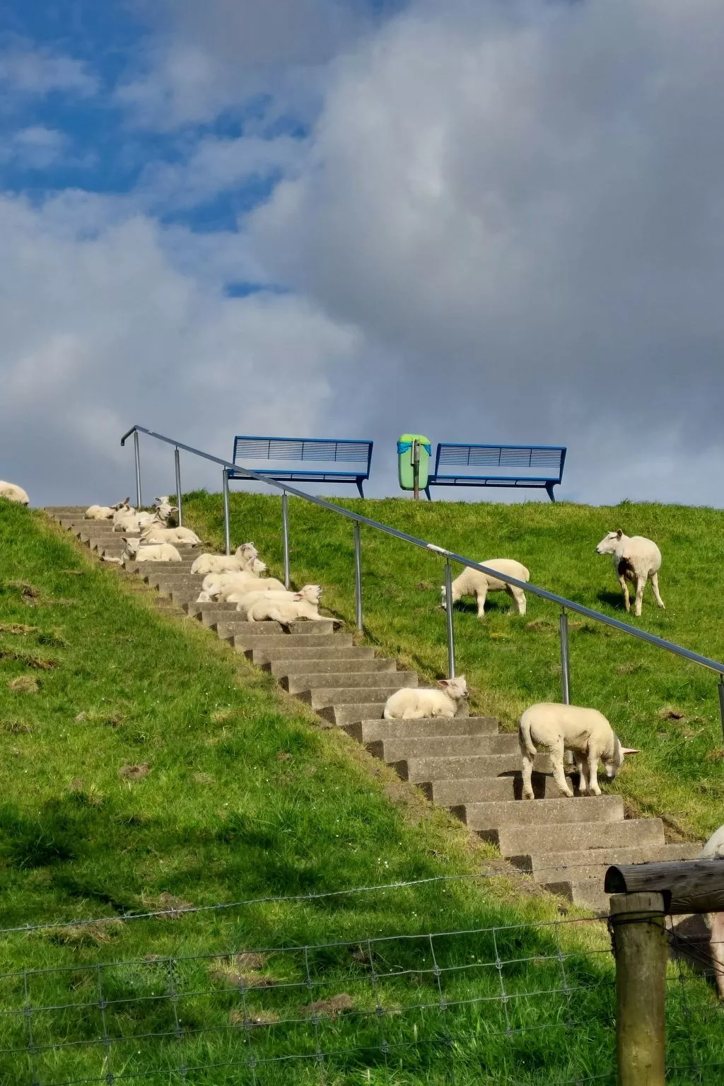 Wattwurm in Fedderwardersiel-Buiten