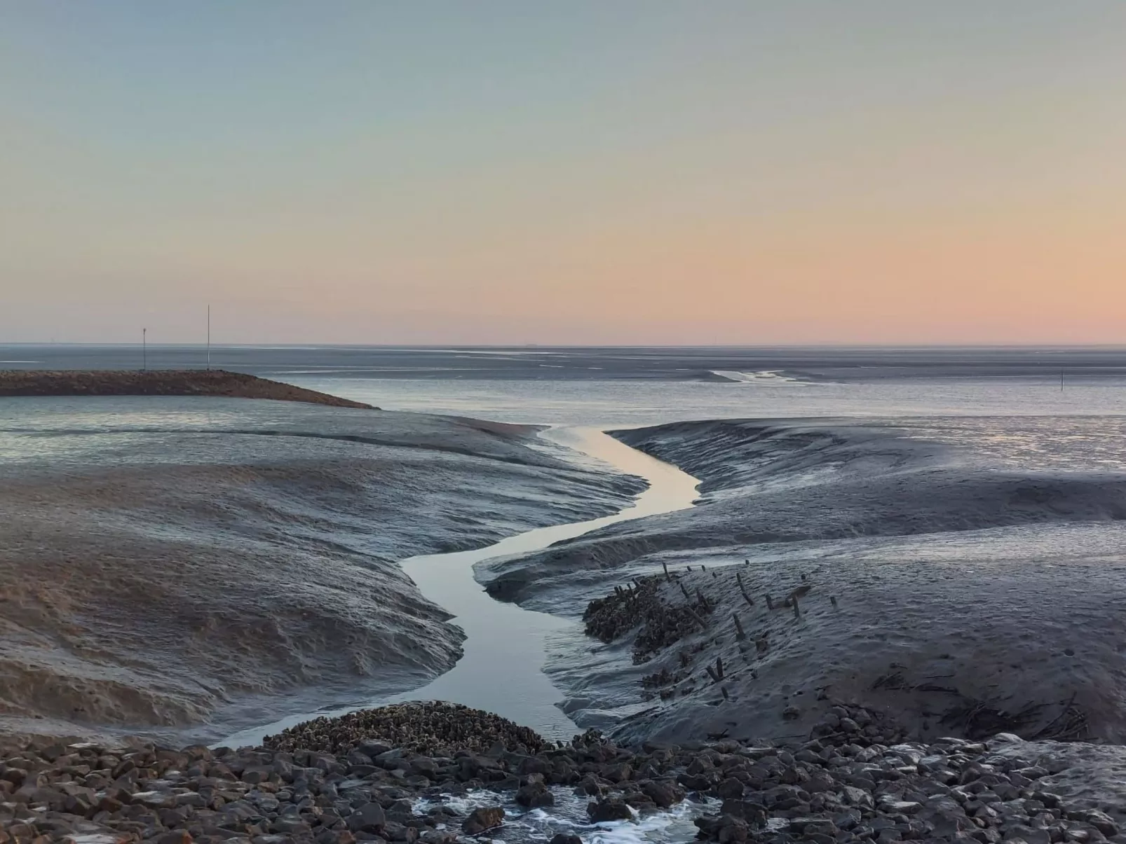 FeWo Hafenkieker-Image-tags.info