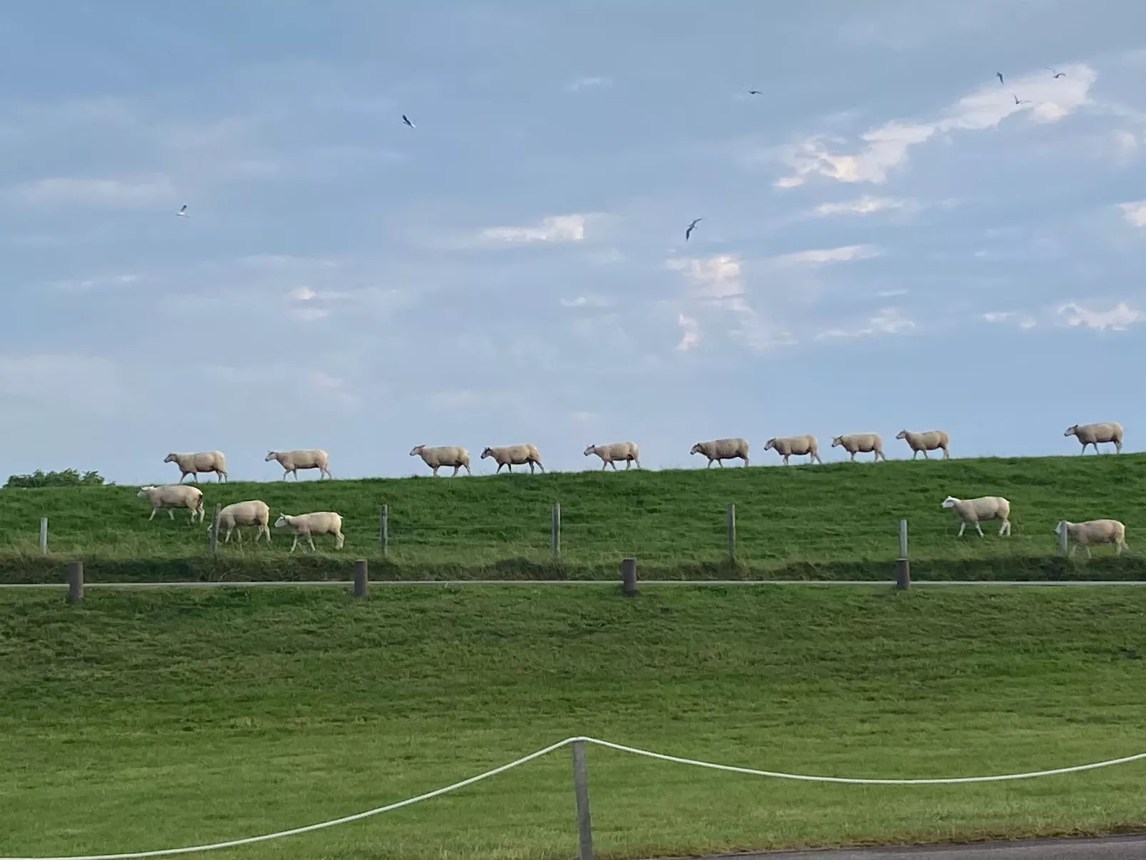 Huus in Hoddersdiek 27 A-Buiten