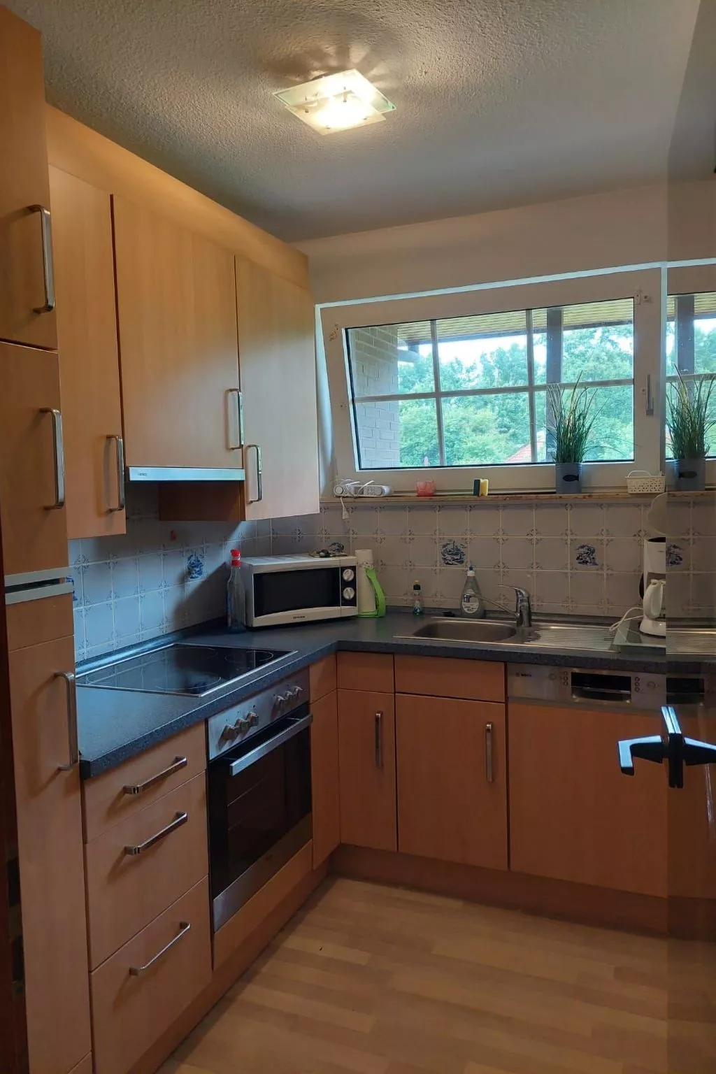 Möwe 16-Image-tags.info