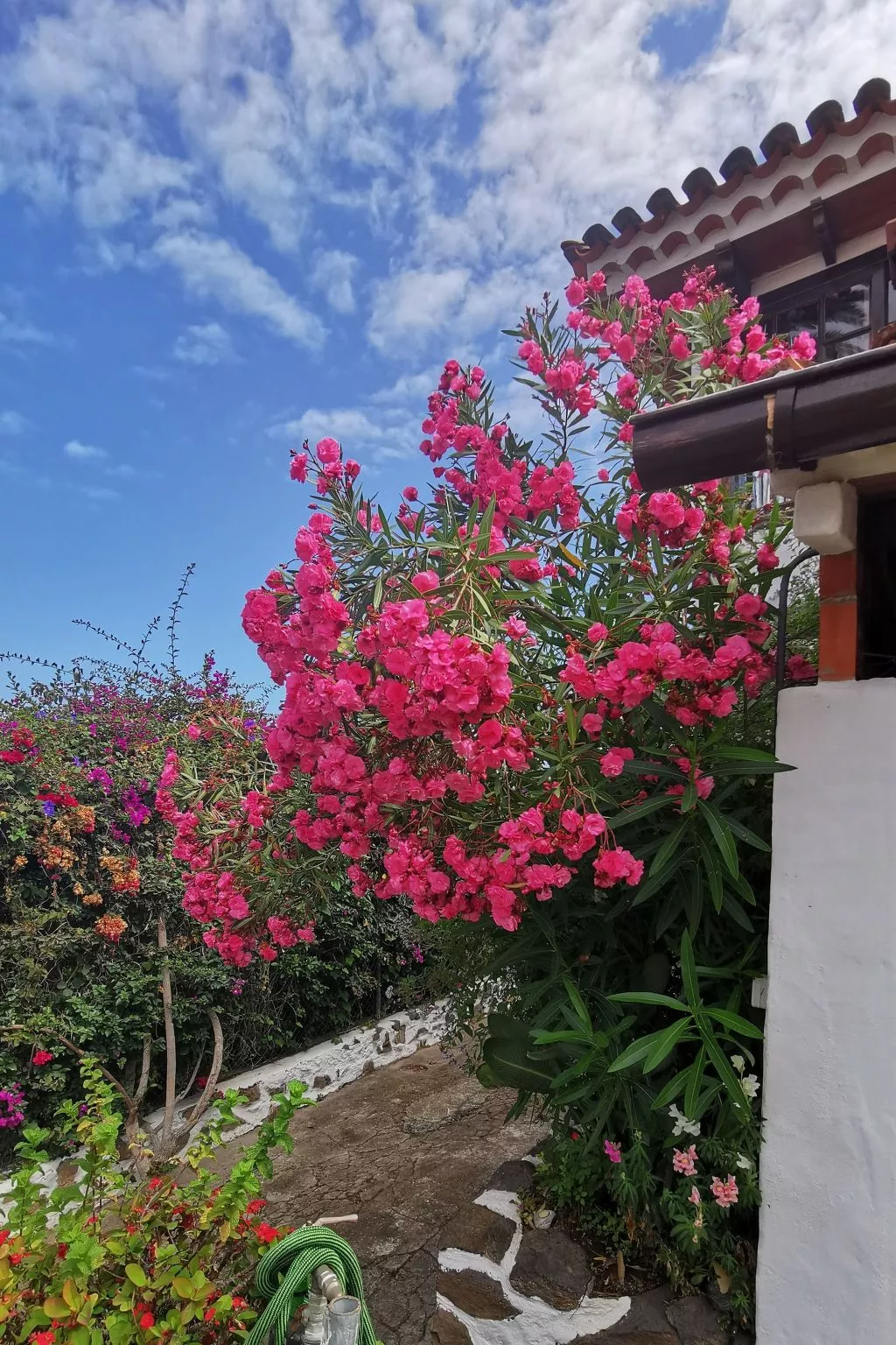 Renovierte Finca Paradies mit privatem Pool-Buiten