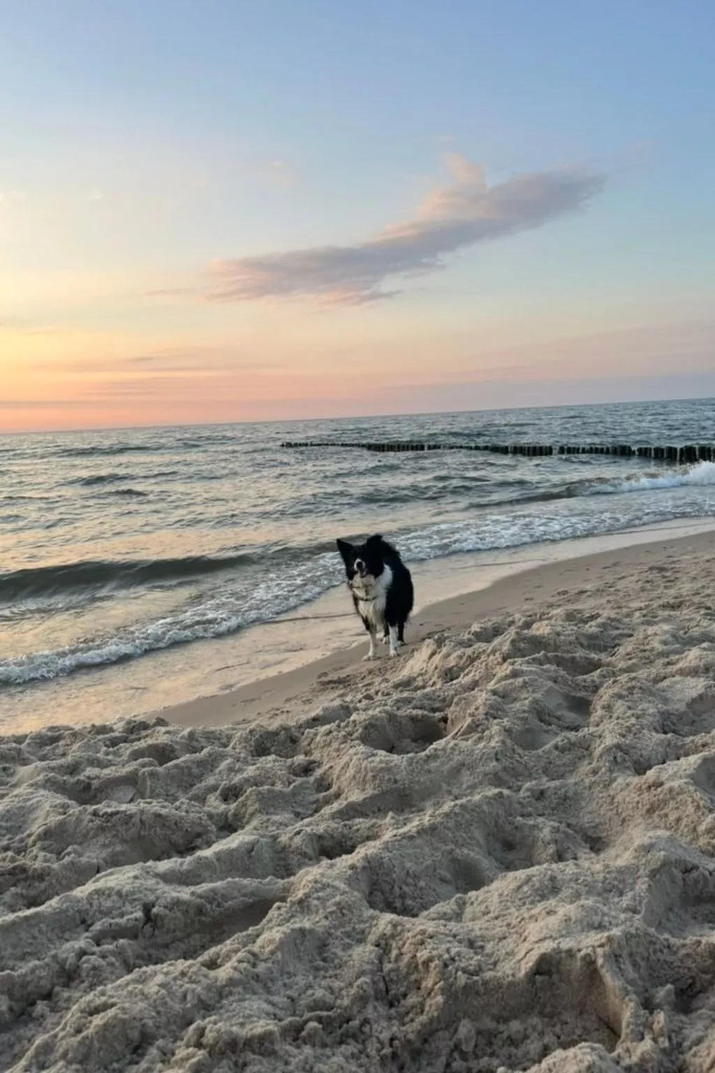 Komfortable Wohnung mit Garten, in der Nähe des Meeres-Image-tags.info