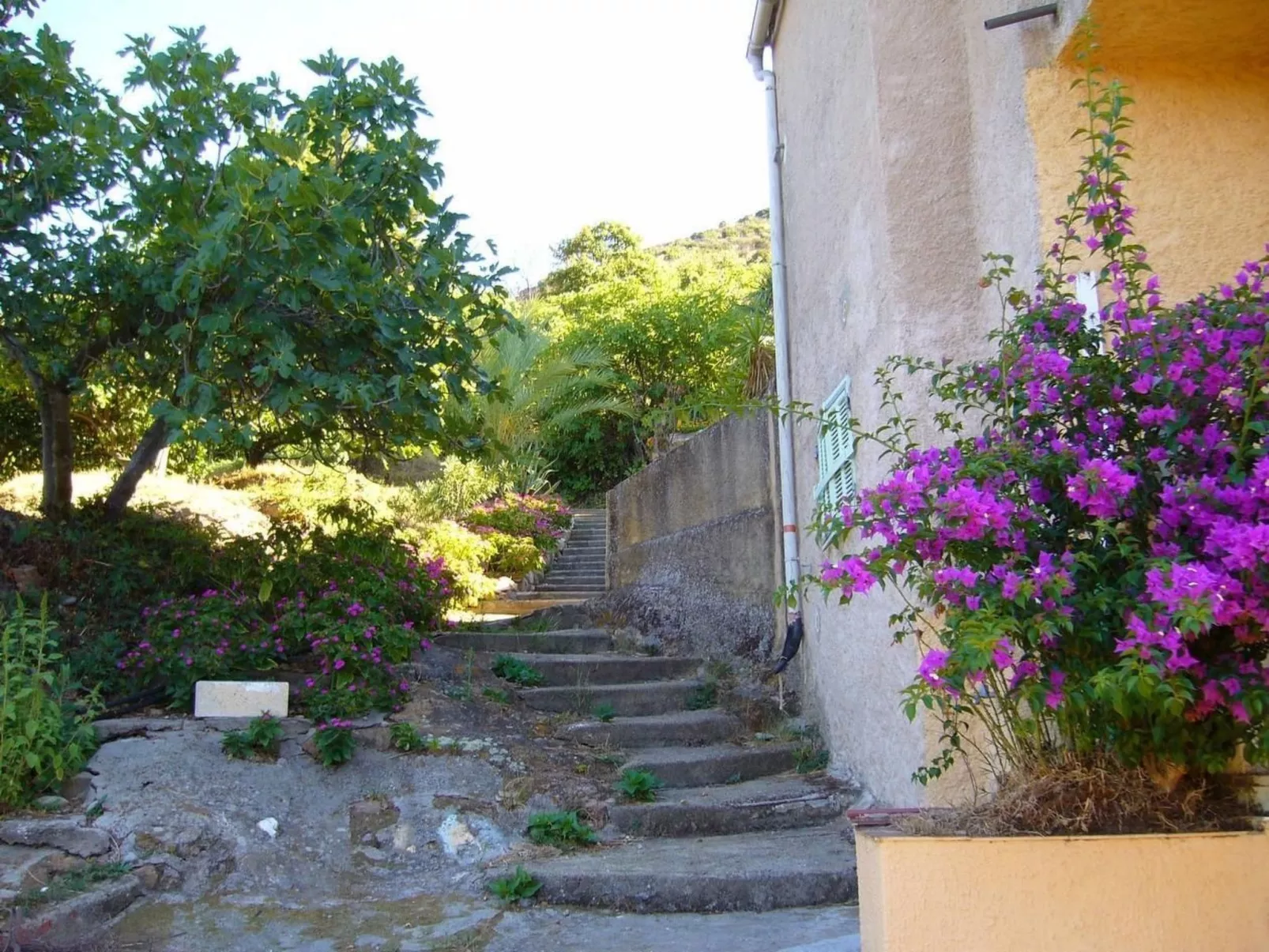 Mit Blick auf das Wasser-Buiten