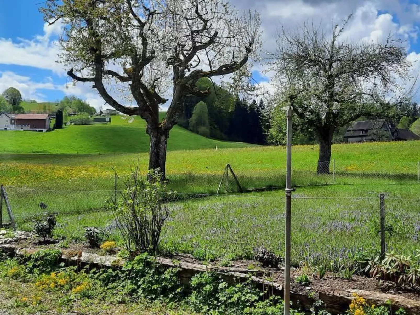 Haus Usziit - Zeit die Seele baumeln zu lassen-Buiten
