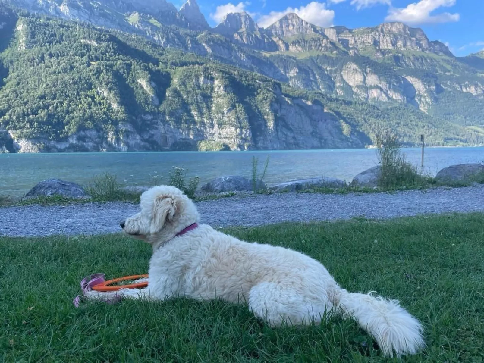 Chalet "Doodle's Chalet" mit Sauna-Buiten