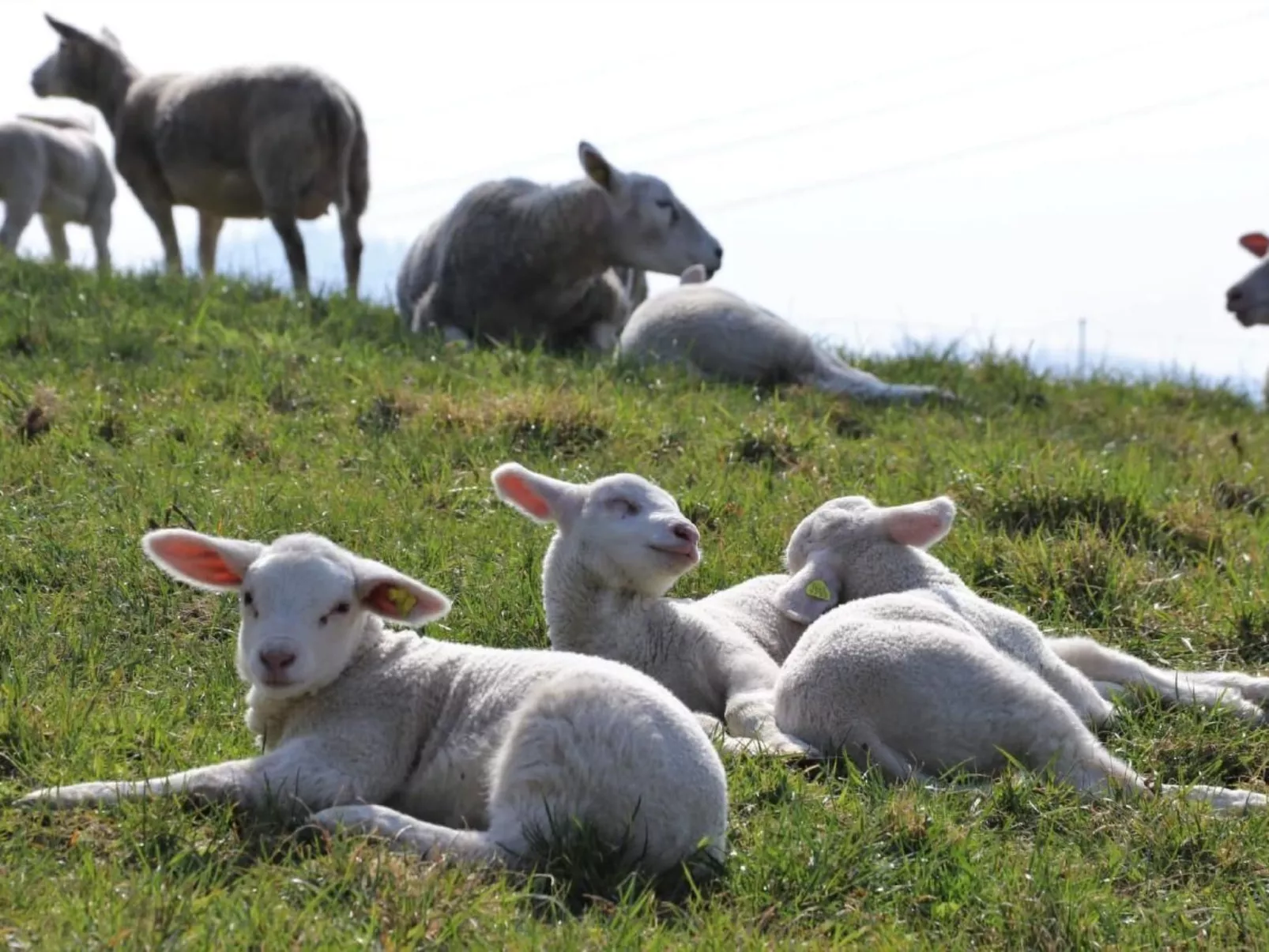 Ober-Tiefenbühl-Buiten