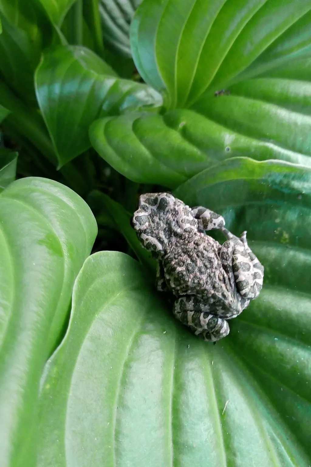 Ländlicher Tourismus-Image-tags.info