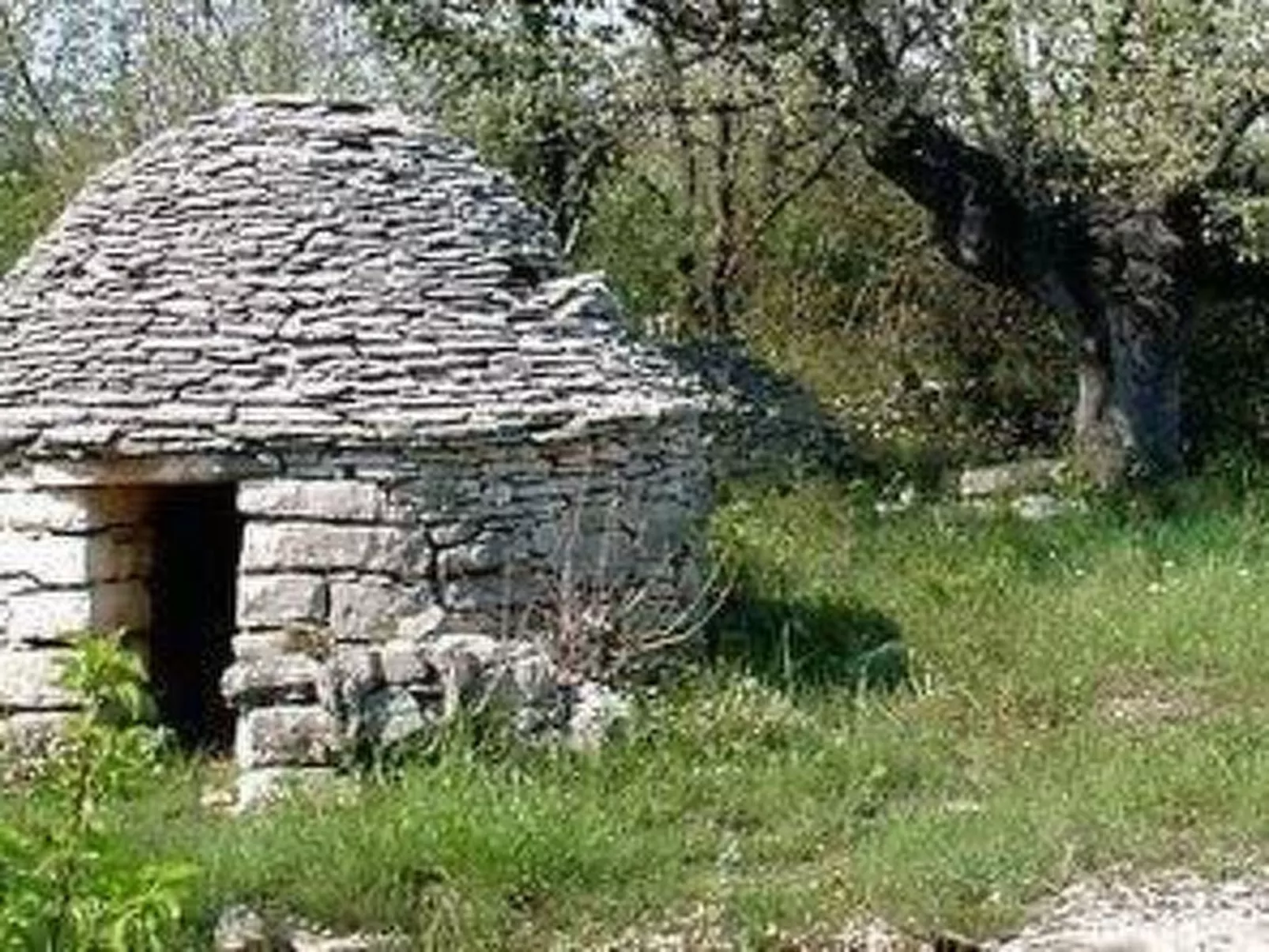 Ferienvilla "Nina" mit eigenem Pool-Buiten