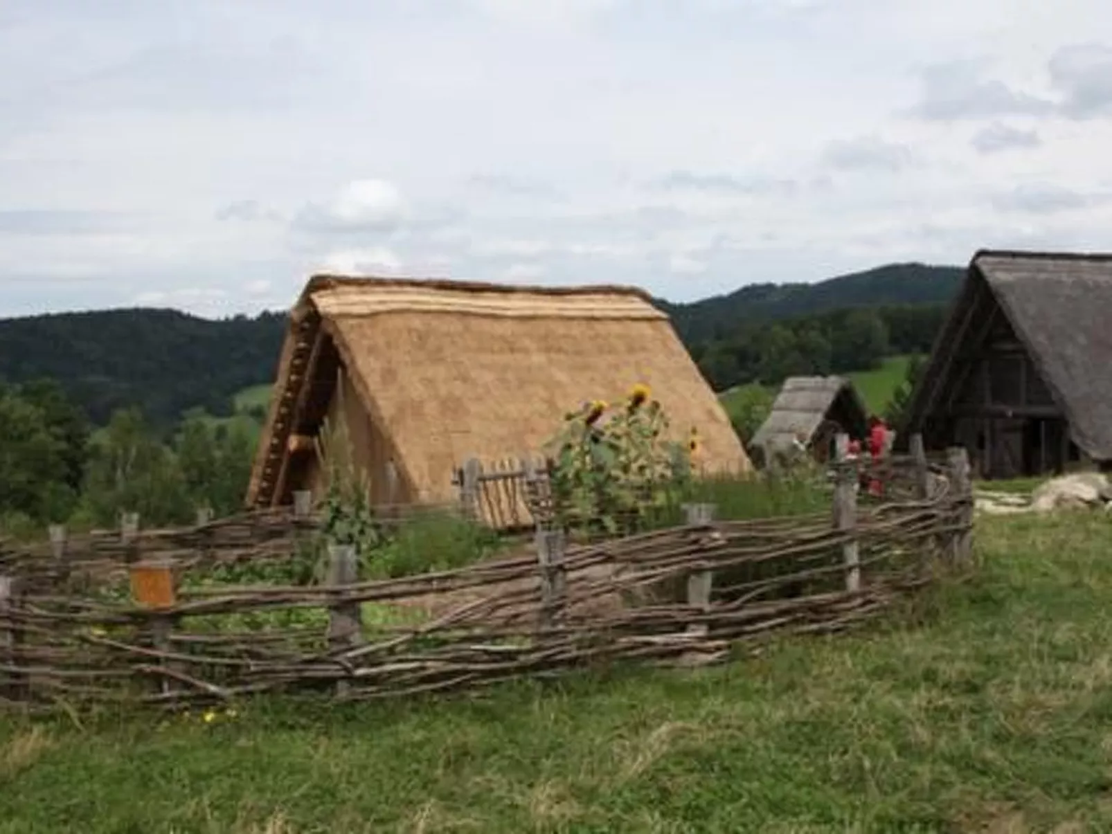 Tamara in Eppenschlag-Buiten