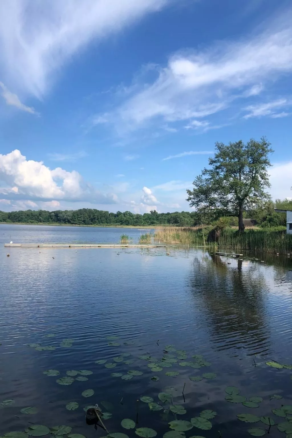 In Dahmen Terrasse und Grill-Buiten