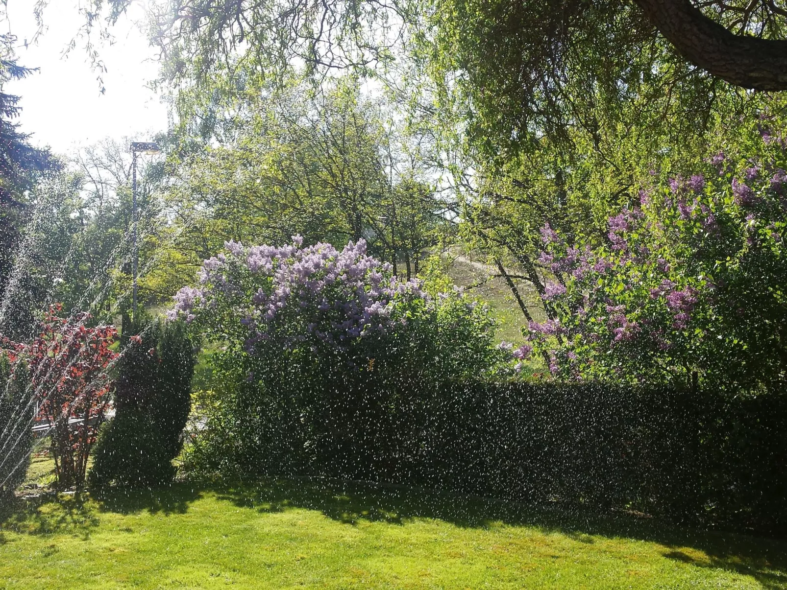 Mit Garten, Grill und Terrasse-Buiten