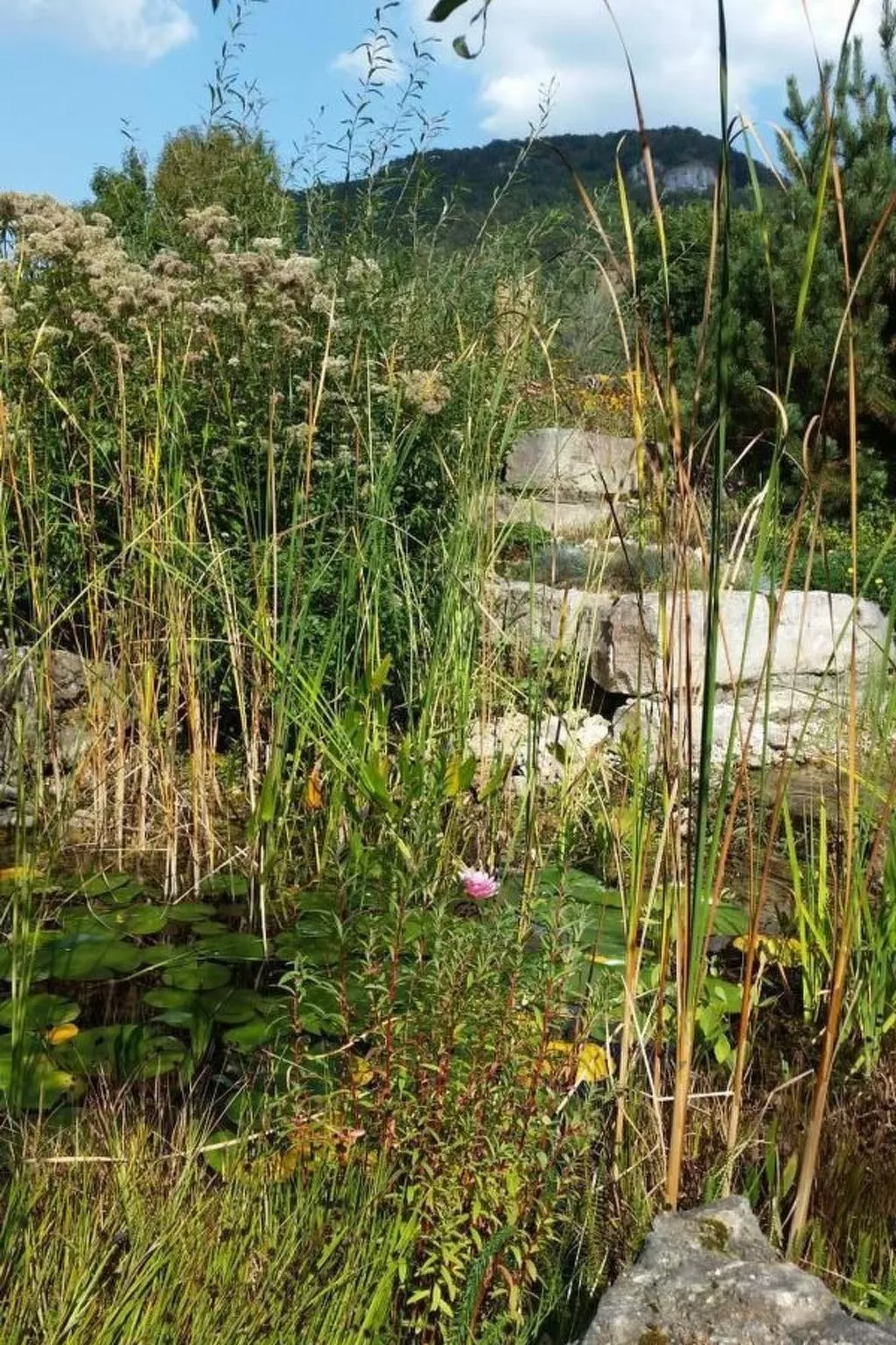 Ferienwohng. Susanne-Image-tags.info