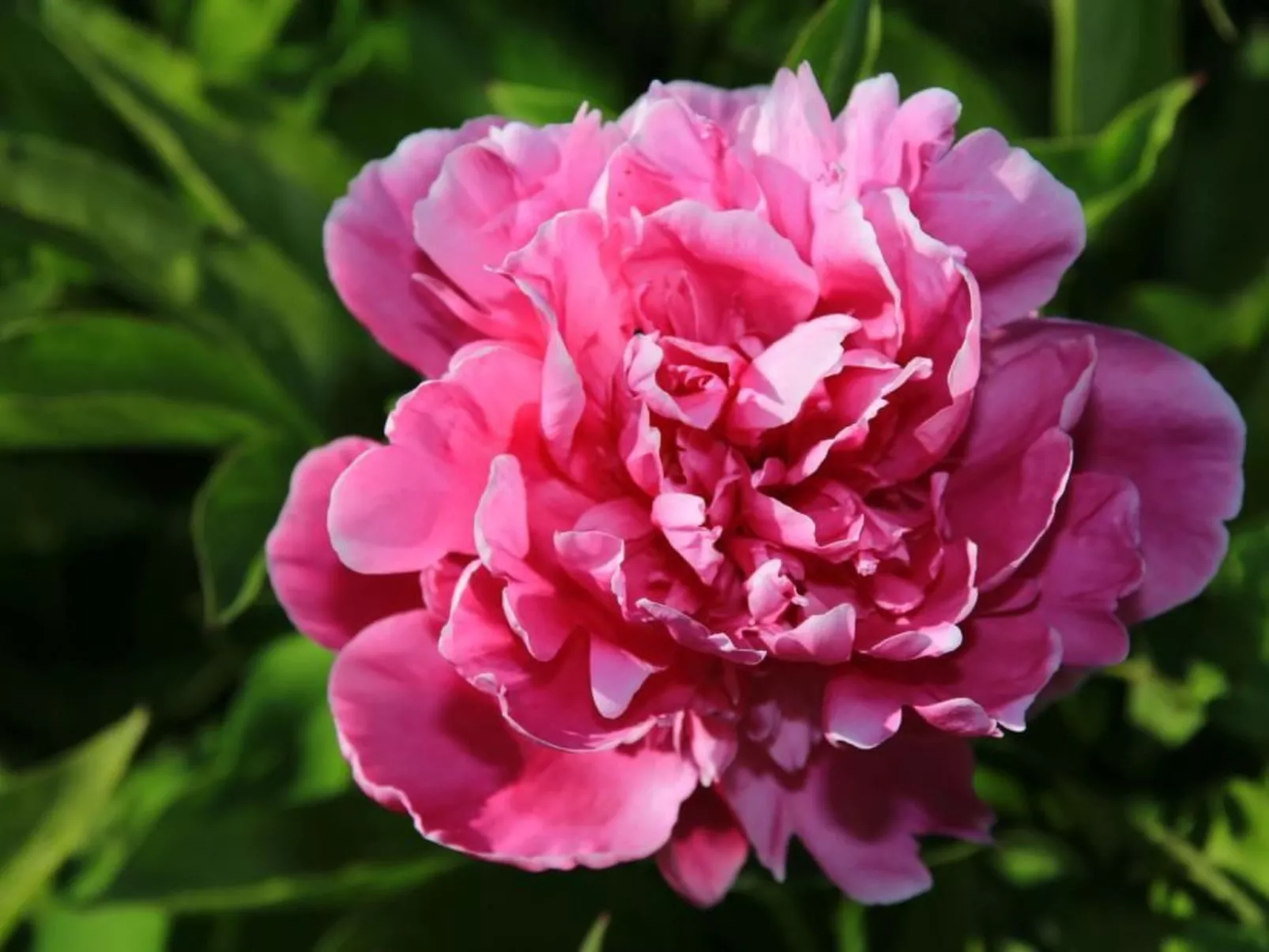 In Storkow mit Schönem Garten-Buiten