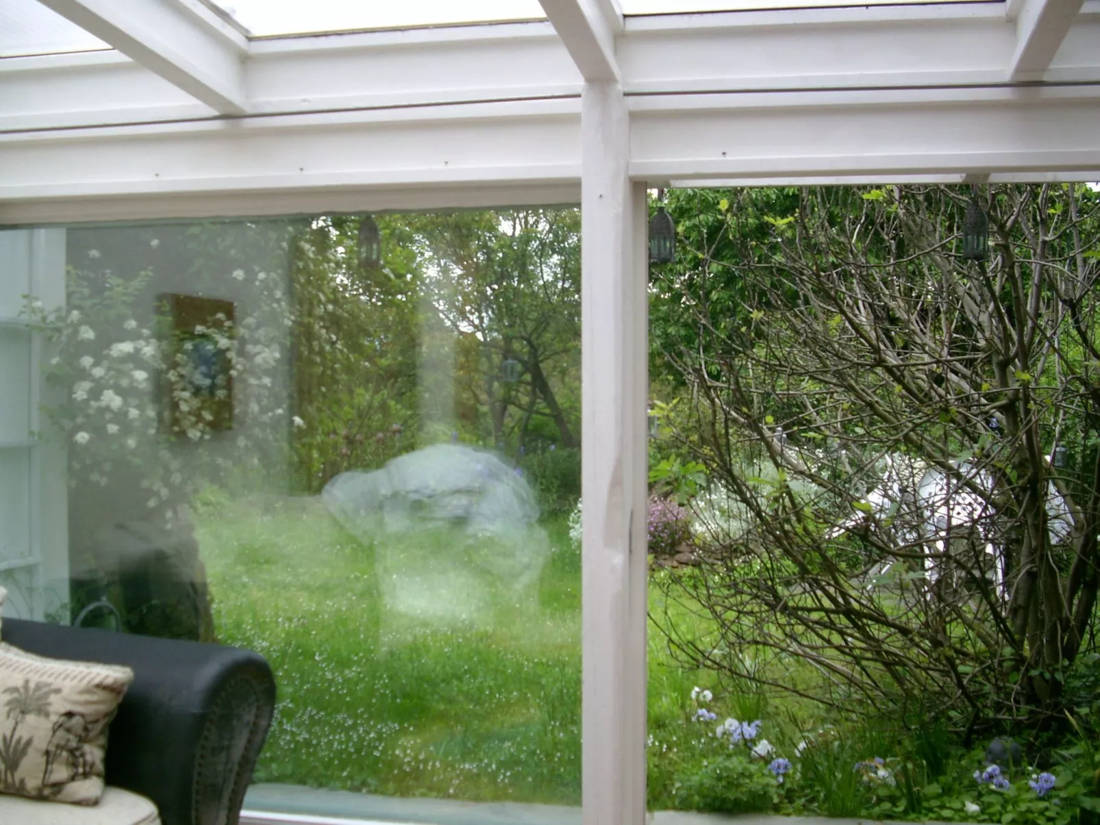 Urlaub am Feigenbaum in Nußloch-Buiten