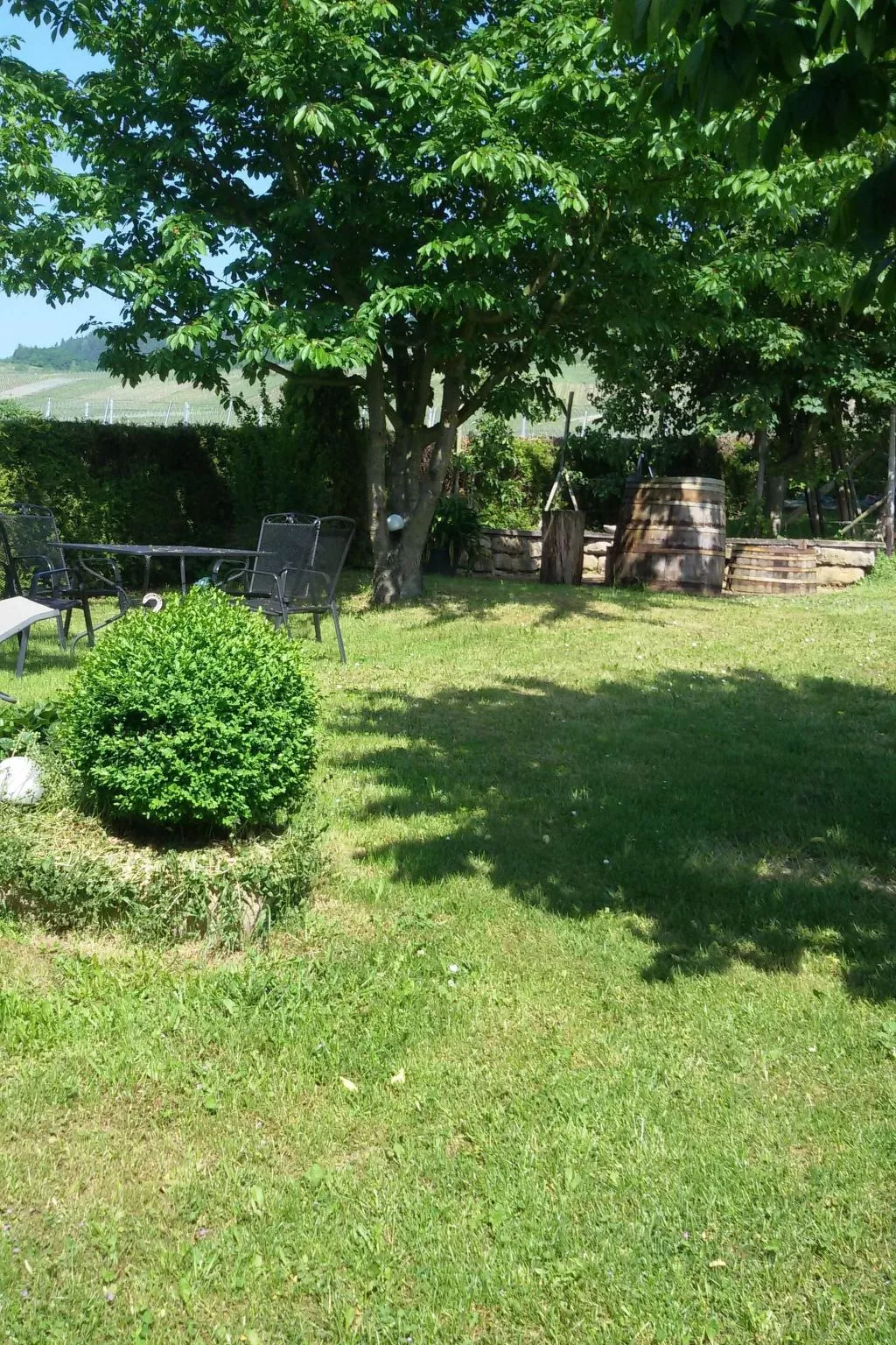 Wohnung mit Blick auf die Weinberge-Buiten