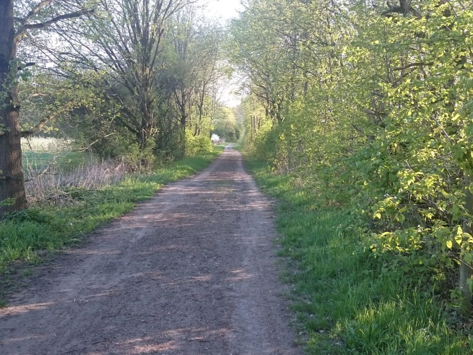 Apartment Laurence-Buiten