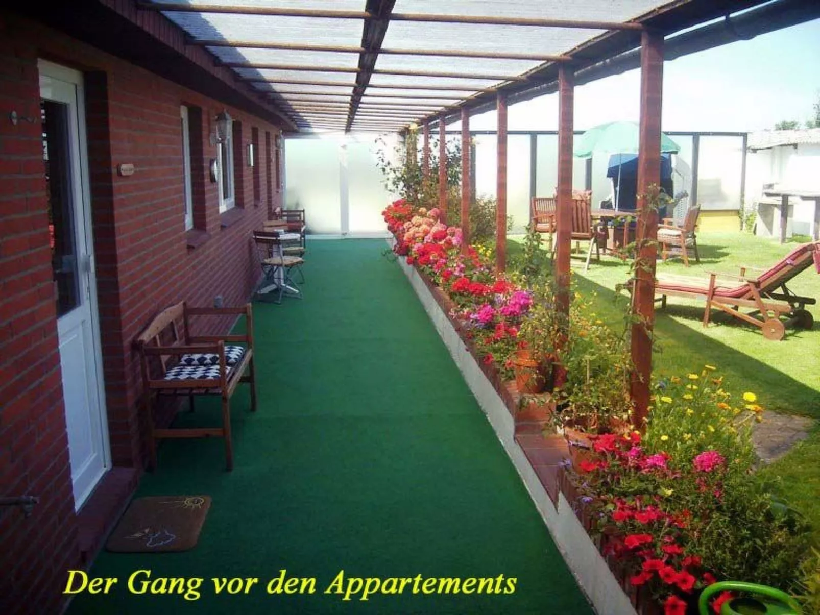 Strandfloh in Hörnum-Binnen