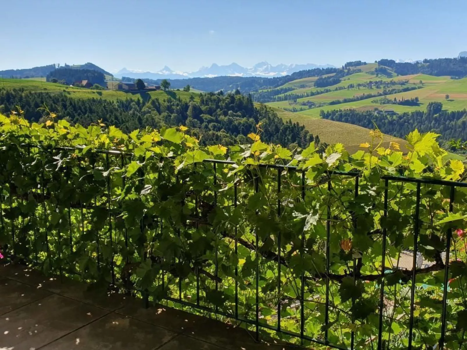 In einem heimeligen Berner-Stöckli-Image-tags.info