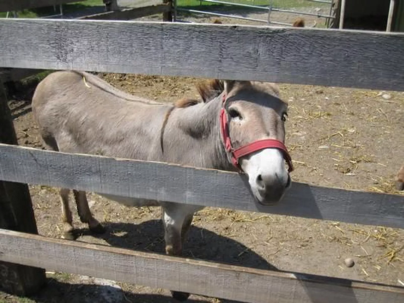 Bauernhaus Bleiche-Binnen
