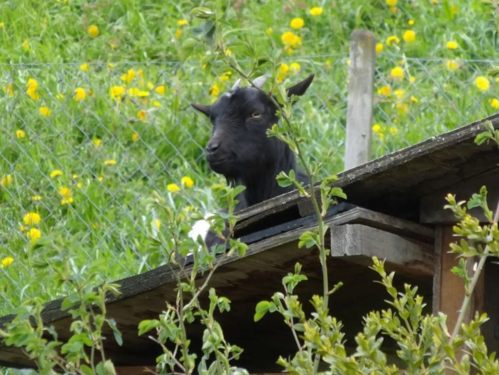 Bauernhof Gerber-Image-tags.info