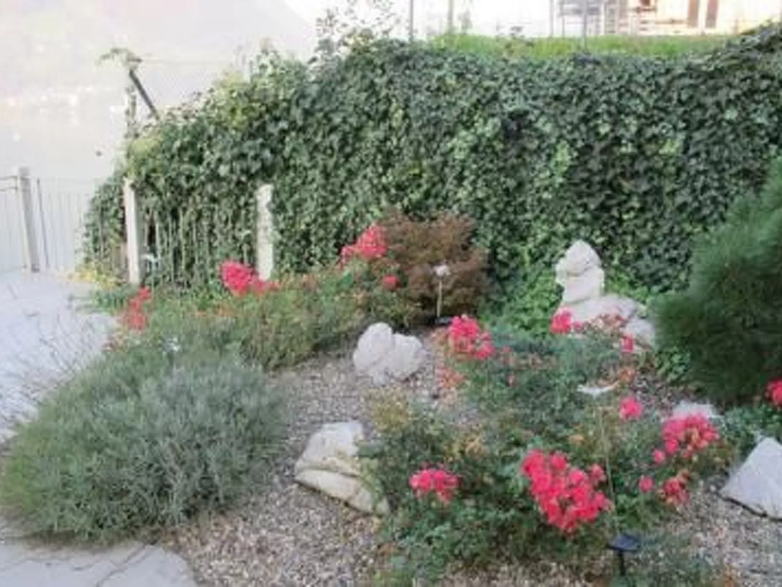 Top Ferienhaus-Buiten