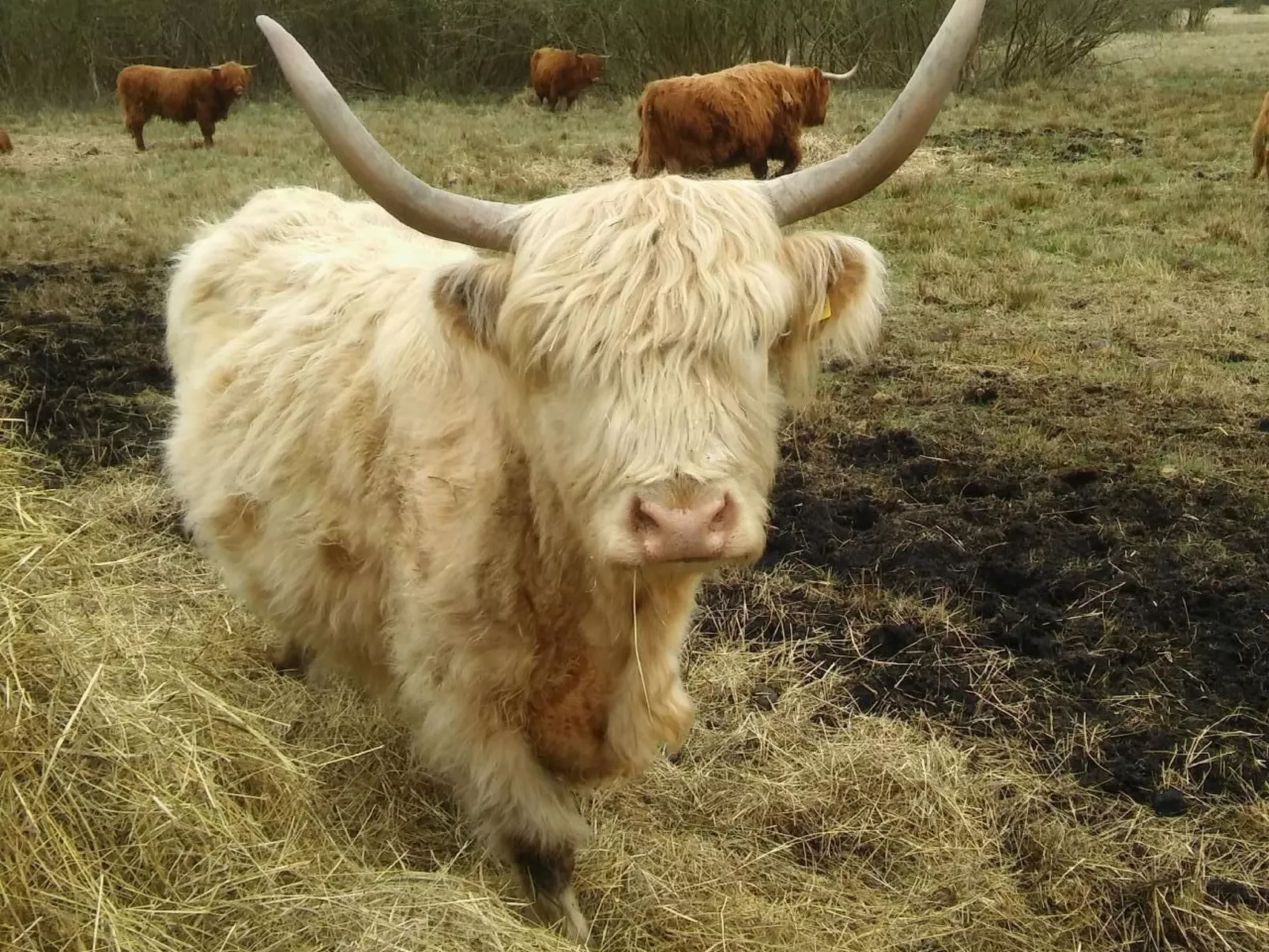 Juwel an der Lagune-Buiten