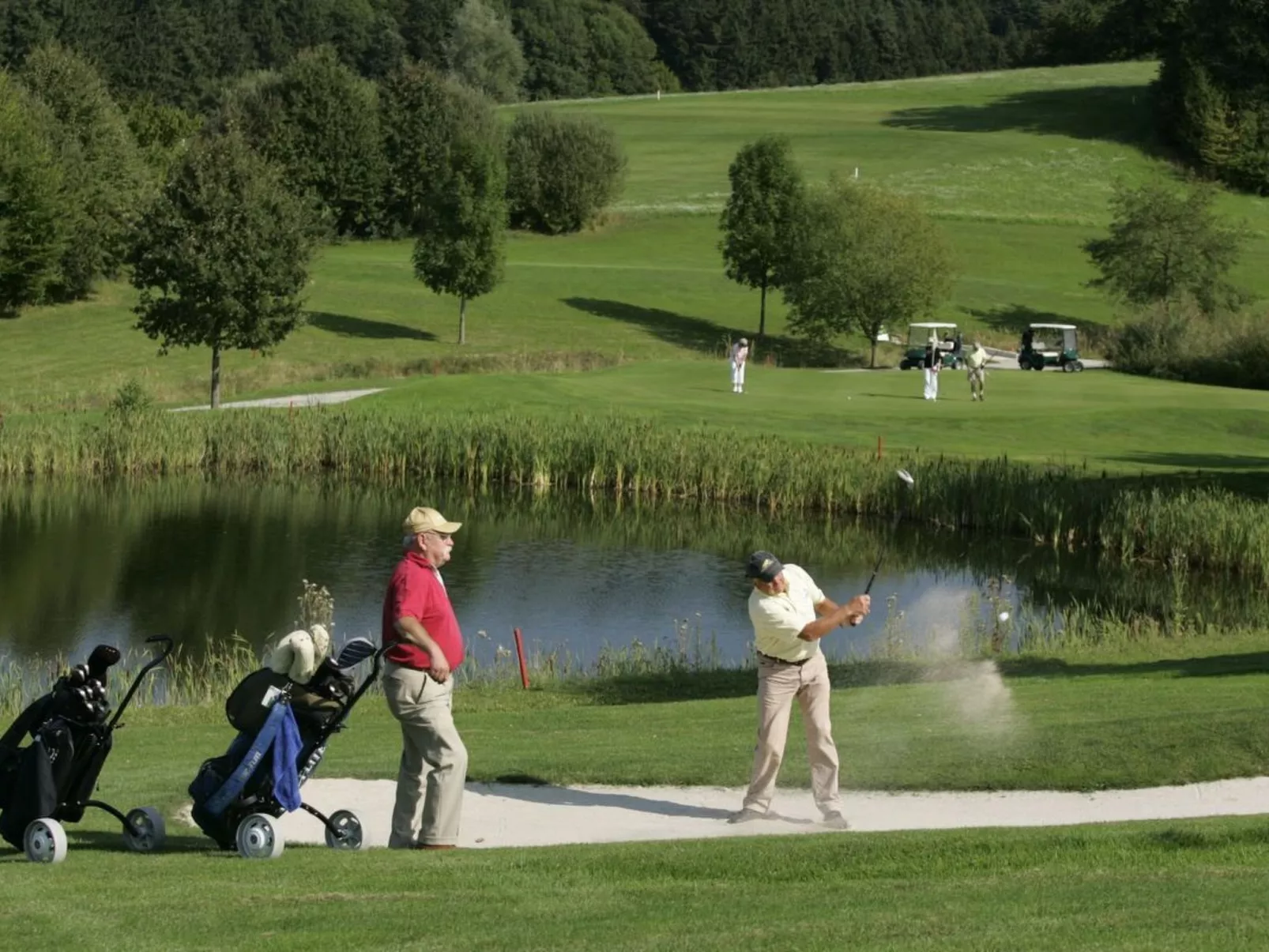 Herrliche Ferienwohnung mit Grill und Garten-Image-tags.info