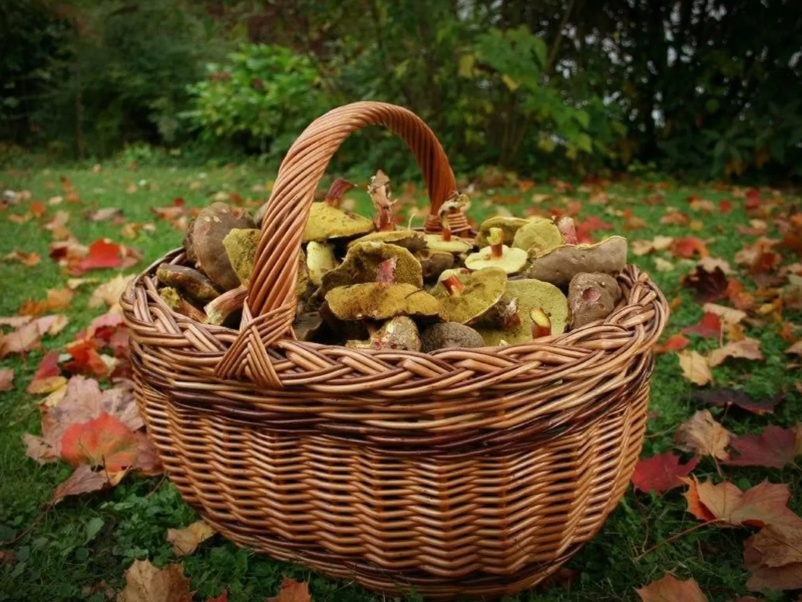 Fewo Altes Schulhaus-Buiten