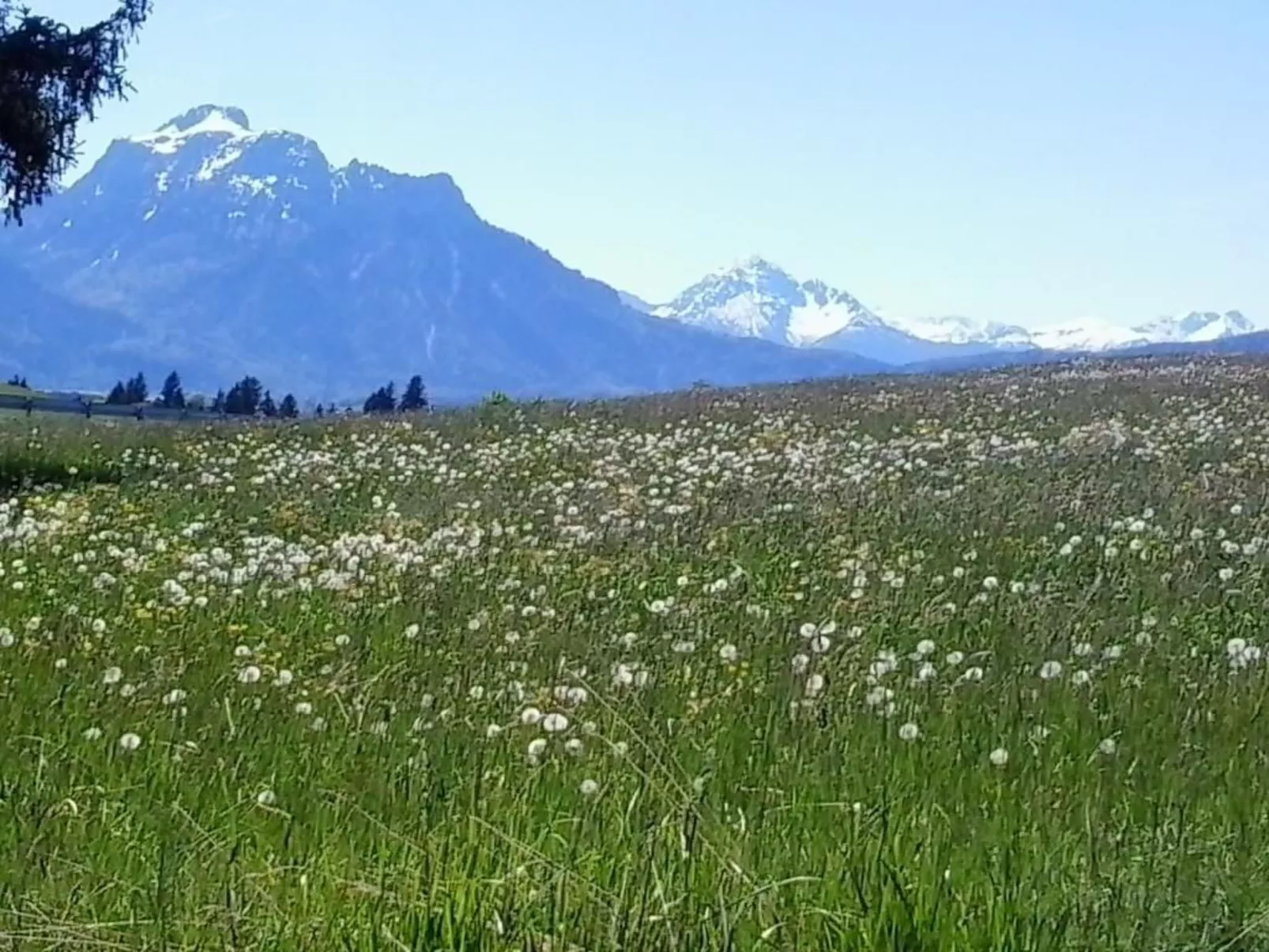 Chalet mit Blick auf das Wasser-Buiten