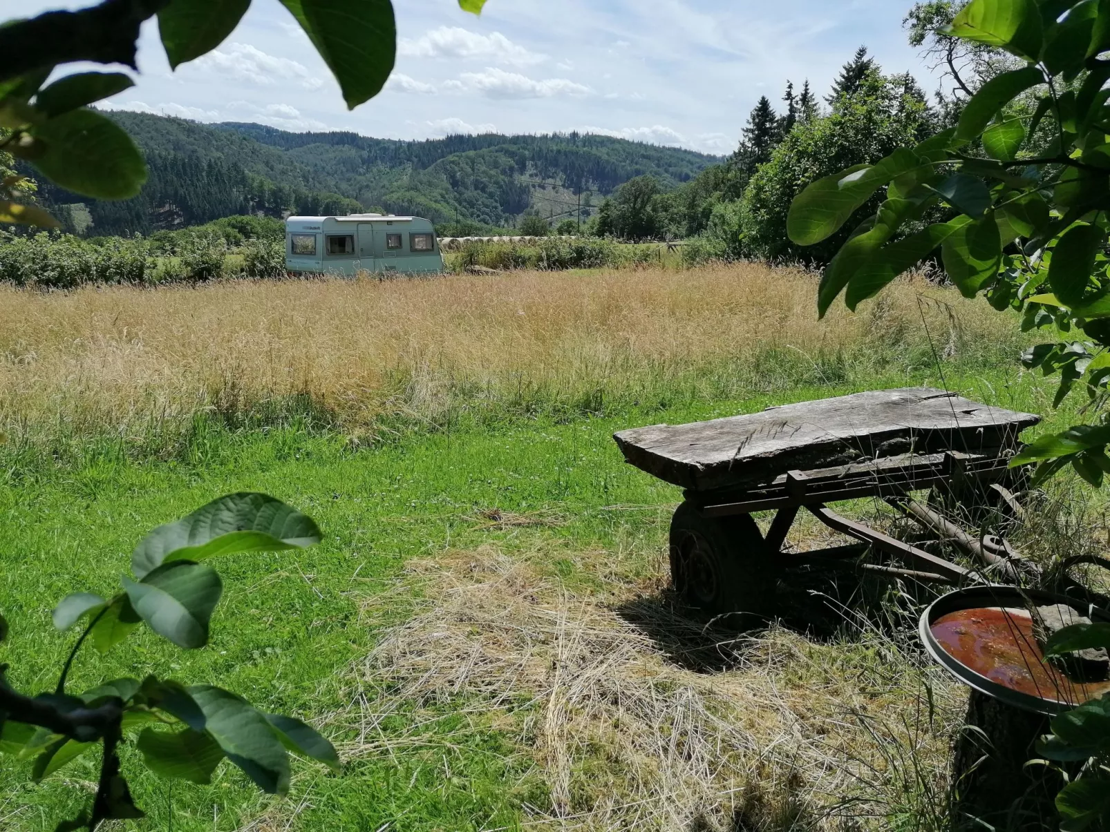 Hollig-Image-tags.info